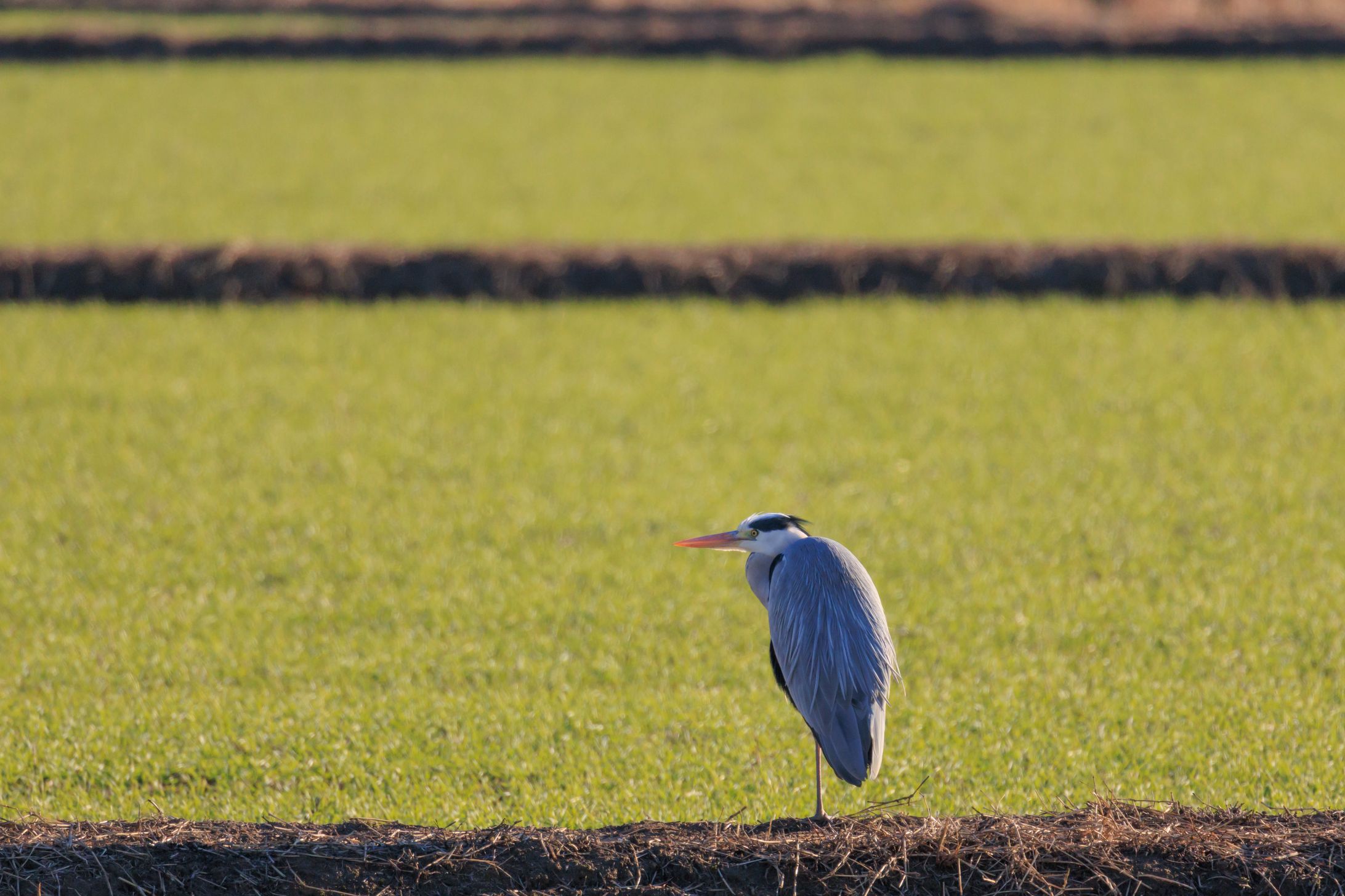 撮影サンプル-1