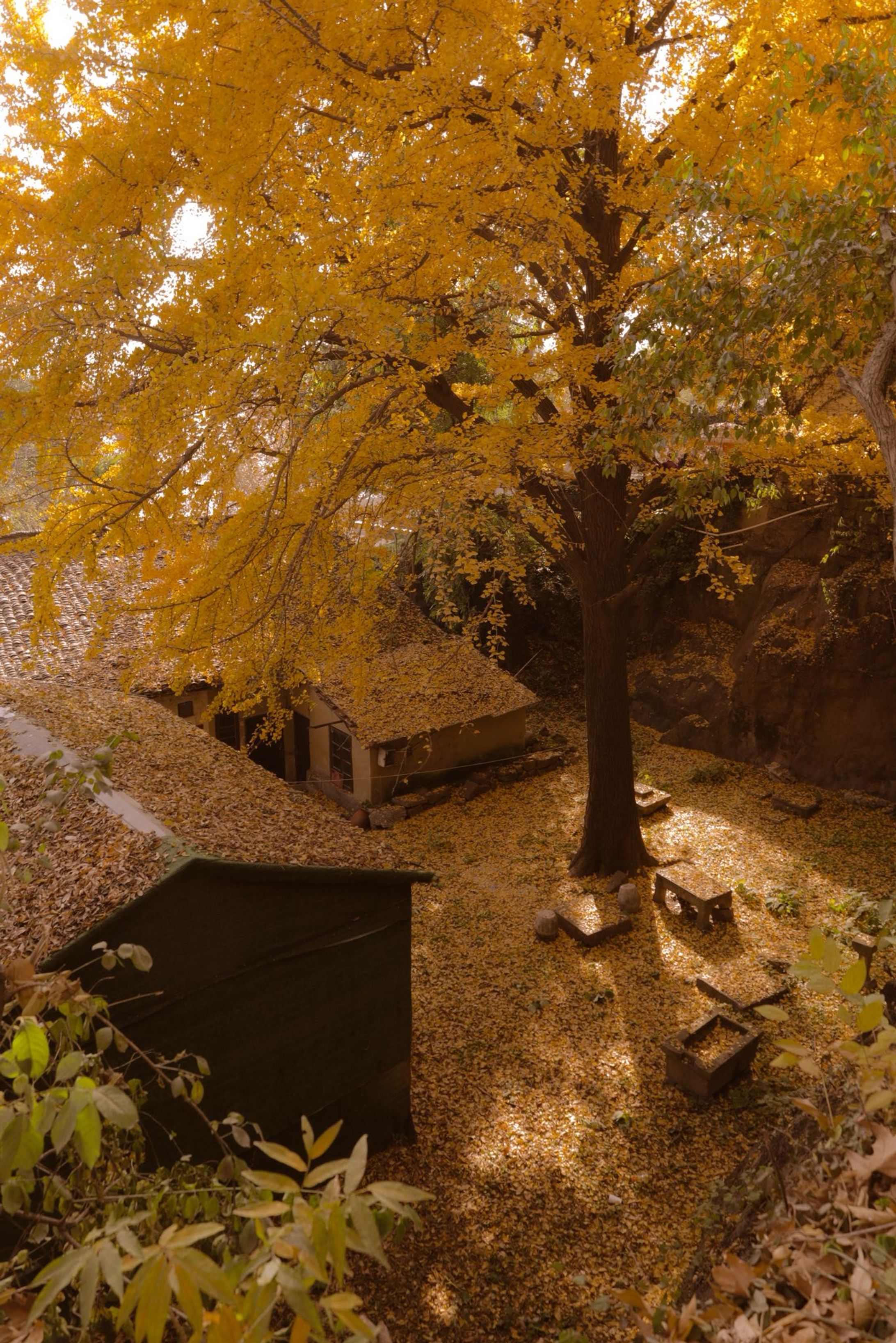 Selected photography from China (Hangzhou and Beijing 2025)-1