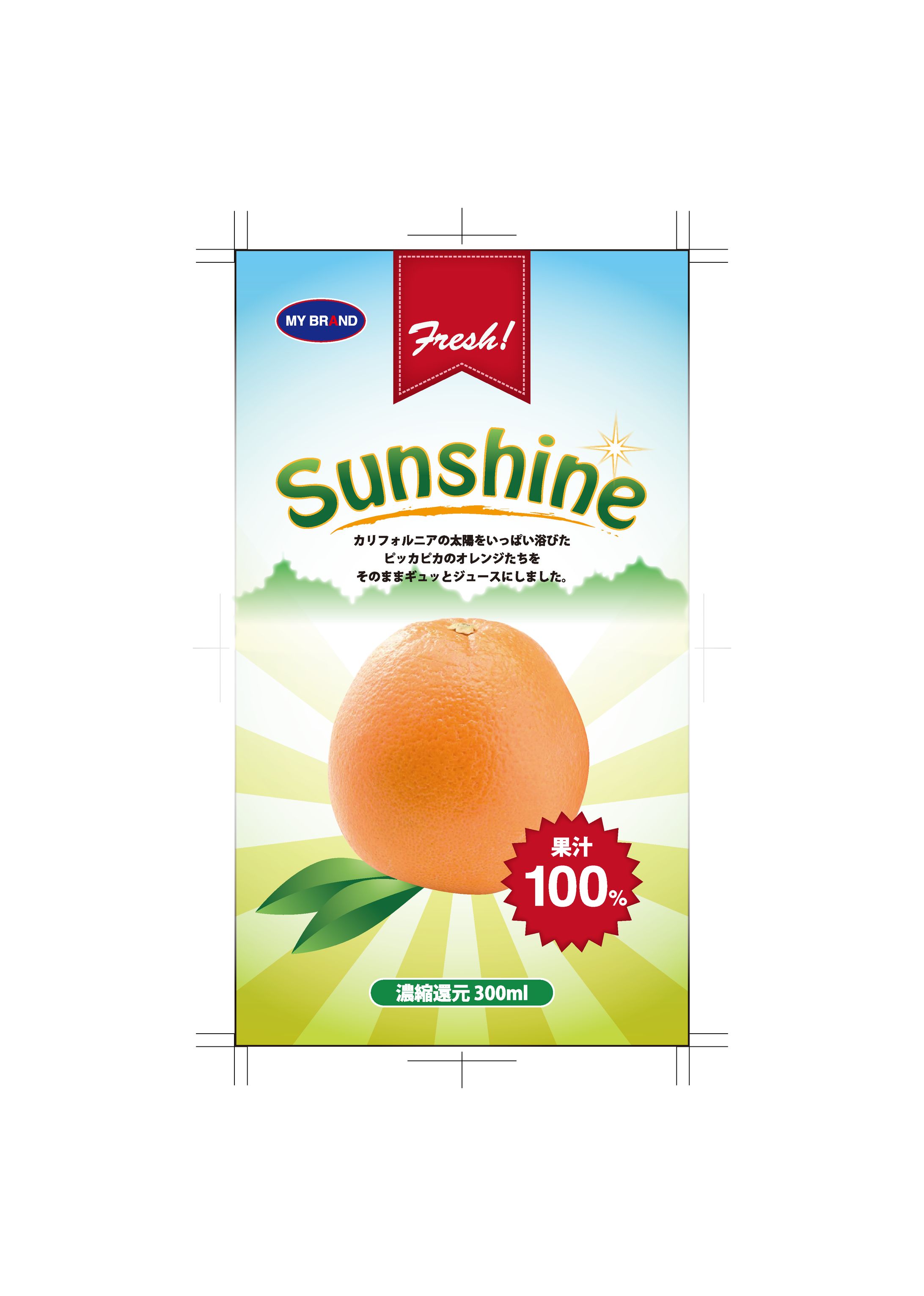 【架空】Sunhineの販促用チラシ-1