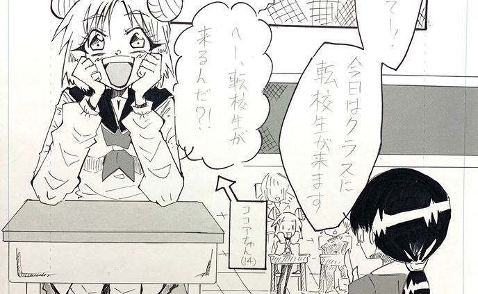 ポートフォリオ、アナログ