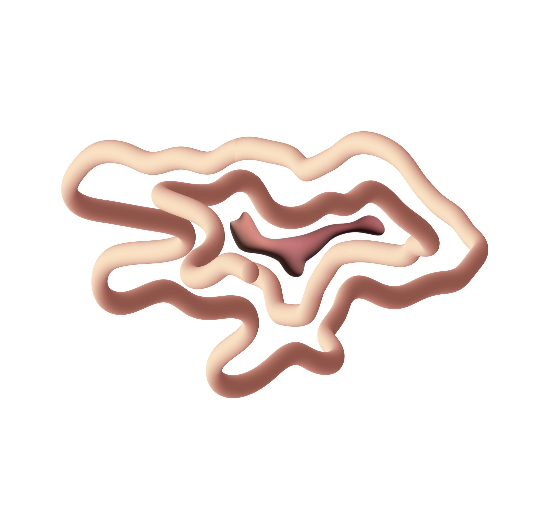 カイヅカイブキ　2-1