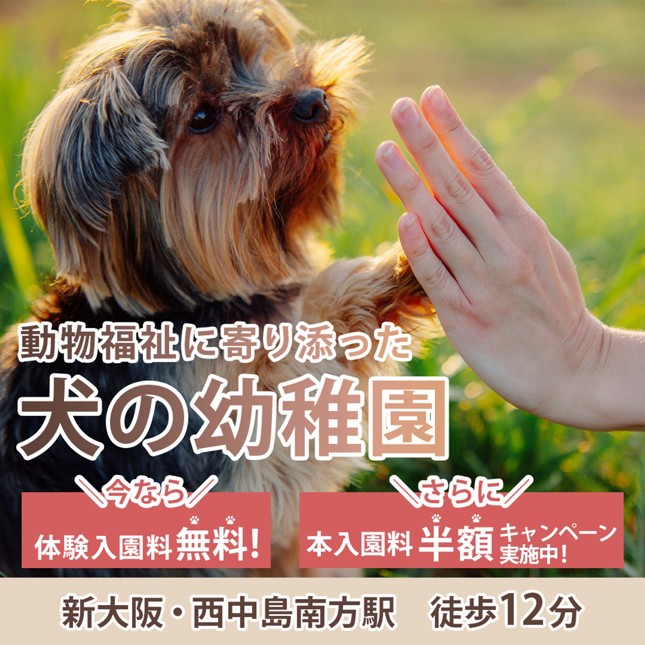 Instagram広告用画像-1