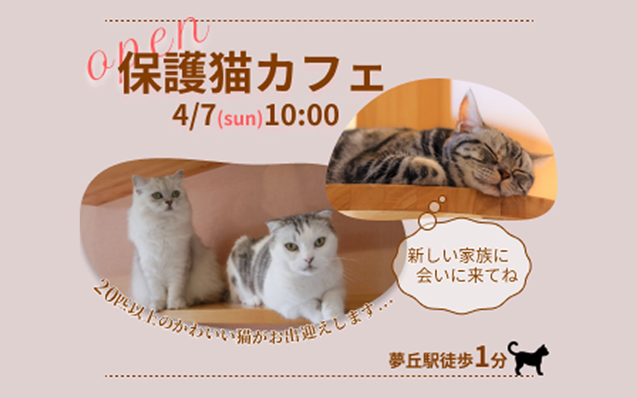 【架空案件】保護猫カフェバナー-1