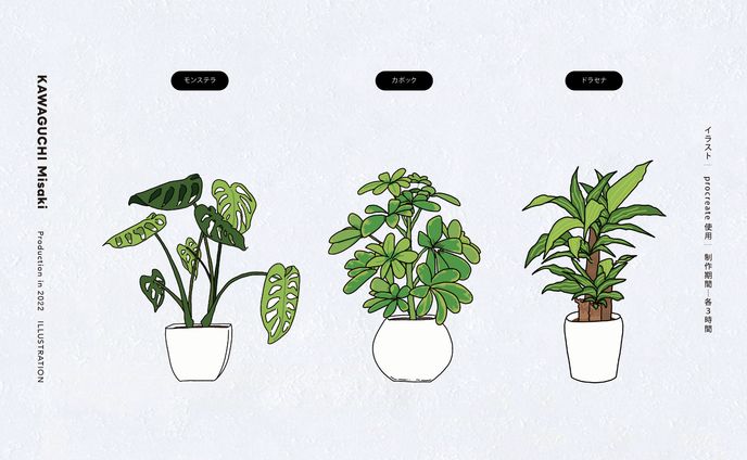 植物 / イラスト