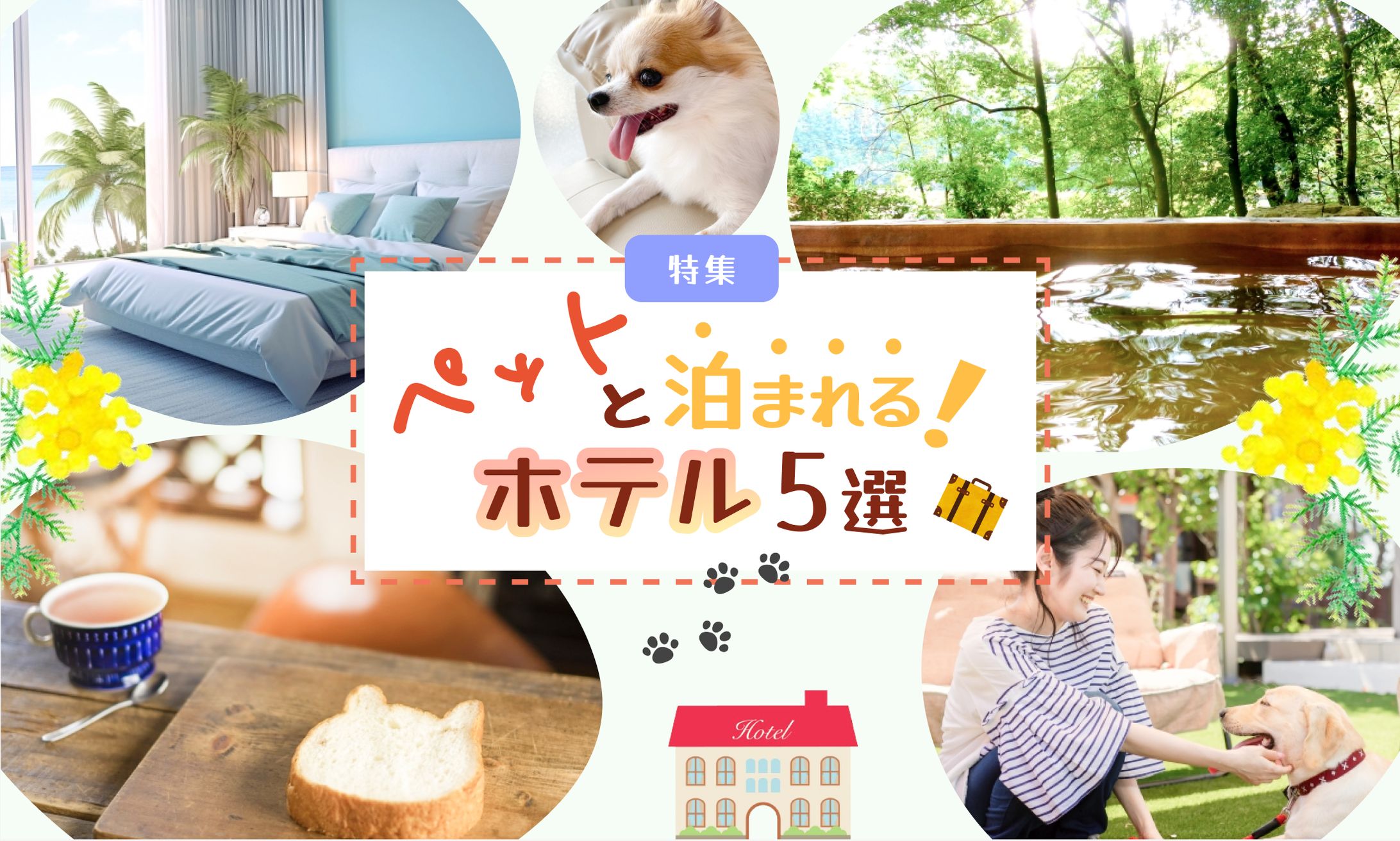 動物関連 アイキャッチ1 500×300-1