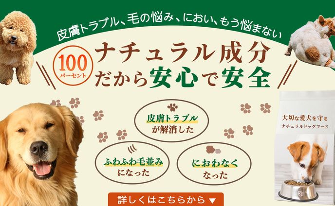 ドッグフード LPファーストビュー
