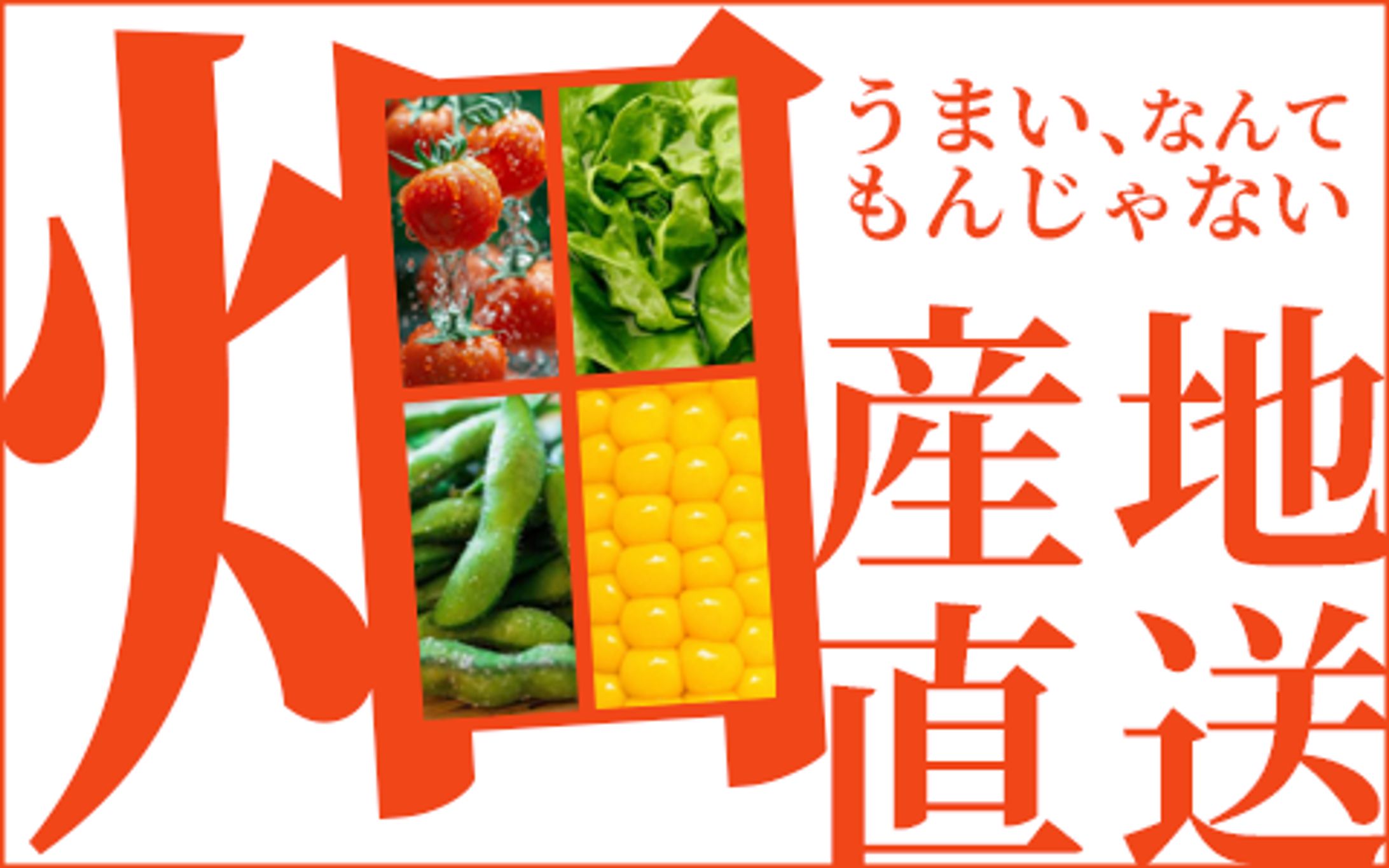 産地、むしろ畑直送-1