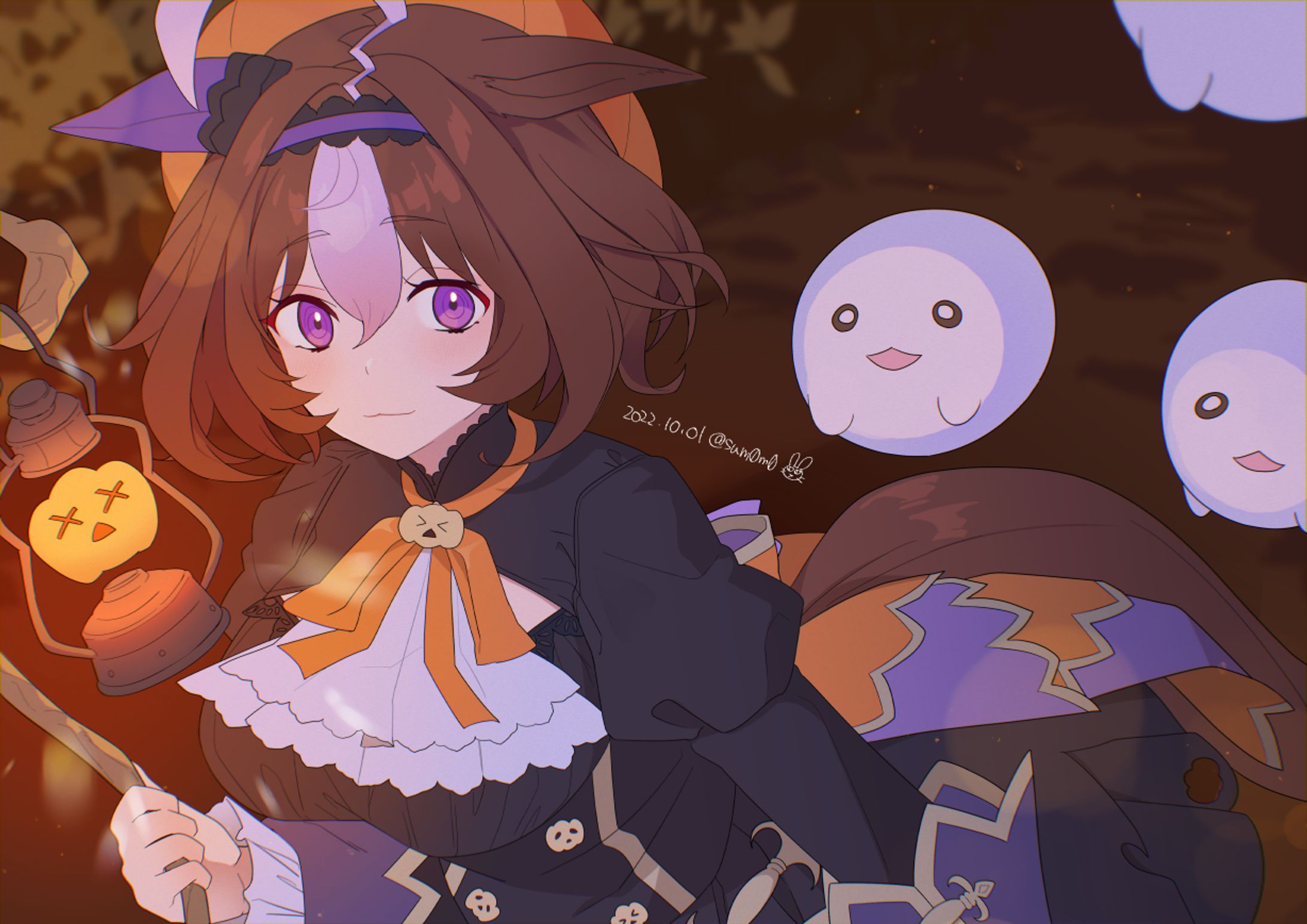 メイショウドトウ（ウマ娘）-1
