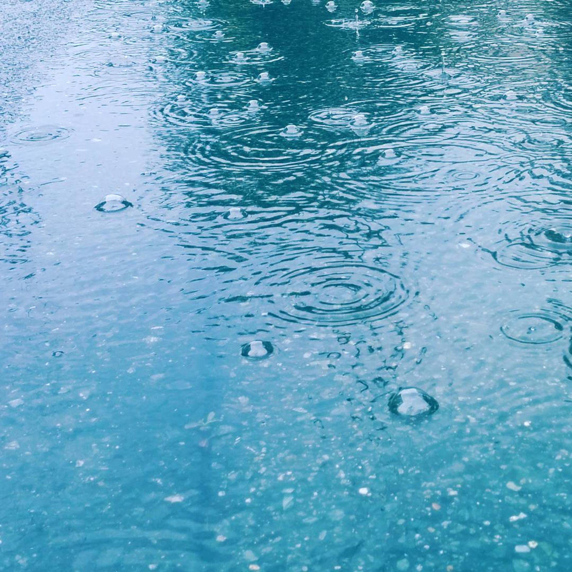 Bubble
#nexus5#水溜まり#泡#雨#スナップ-1