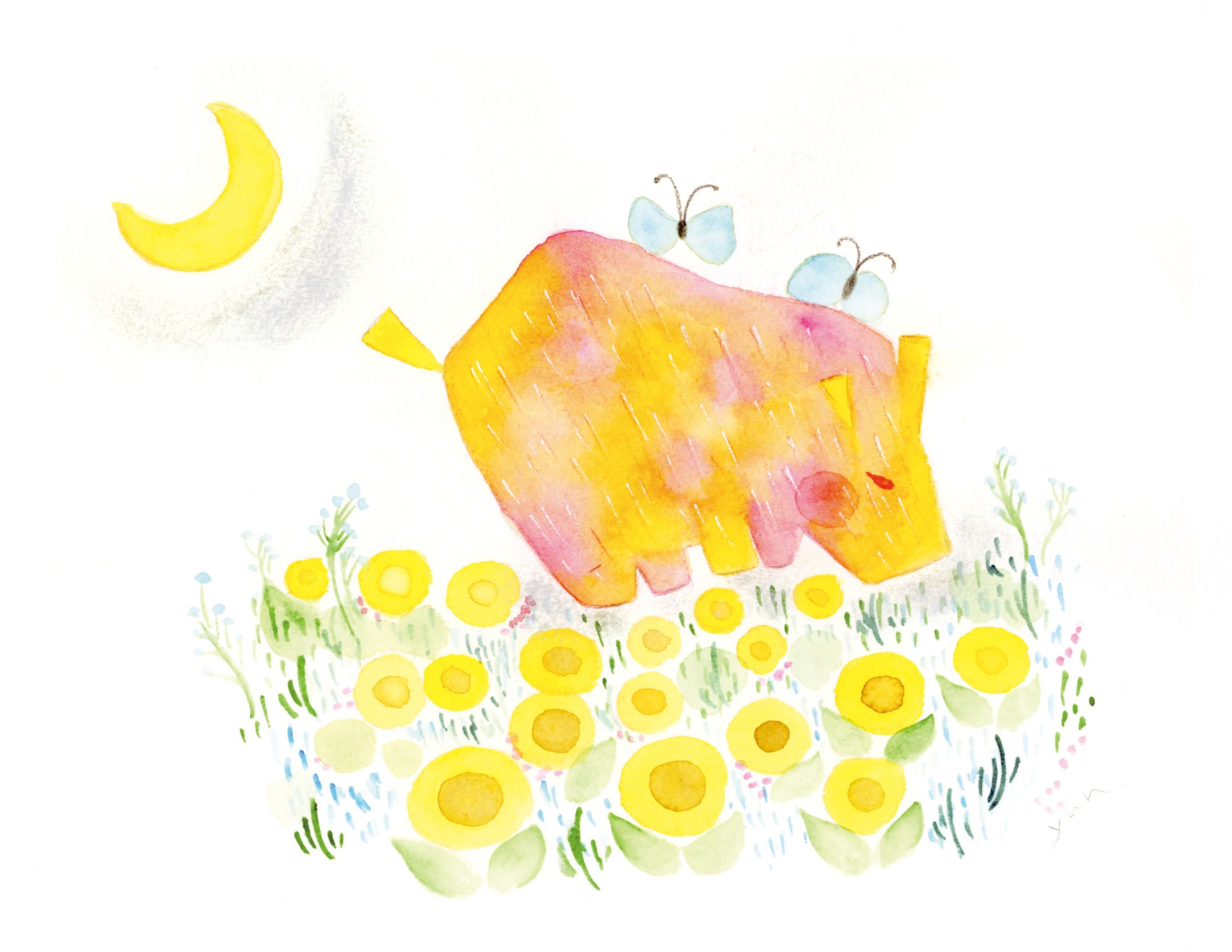 夜の向日葵畑-1