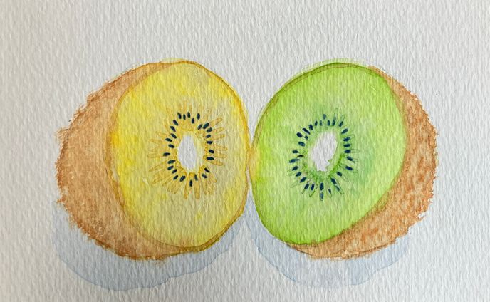 水彩　キウイ