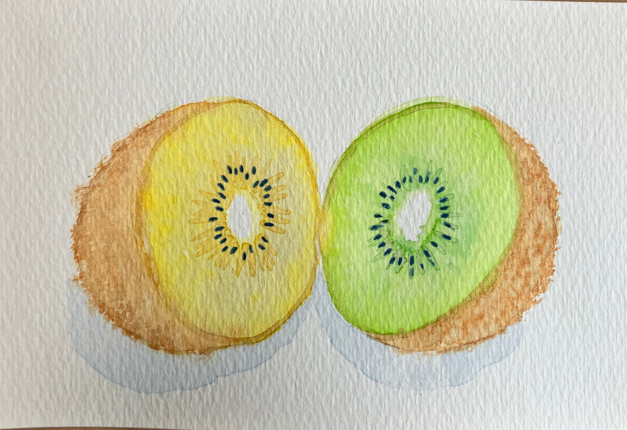 水彩　キウイ-1