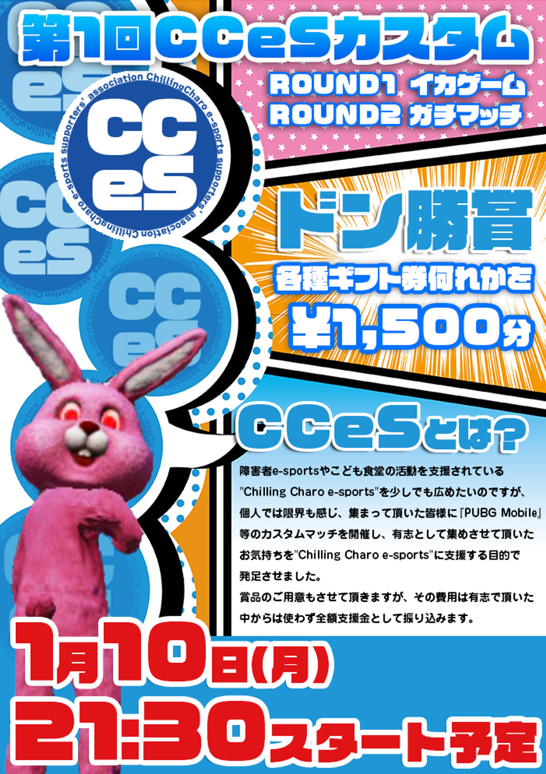 CCES制作画像-1