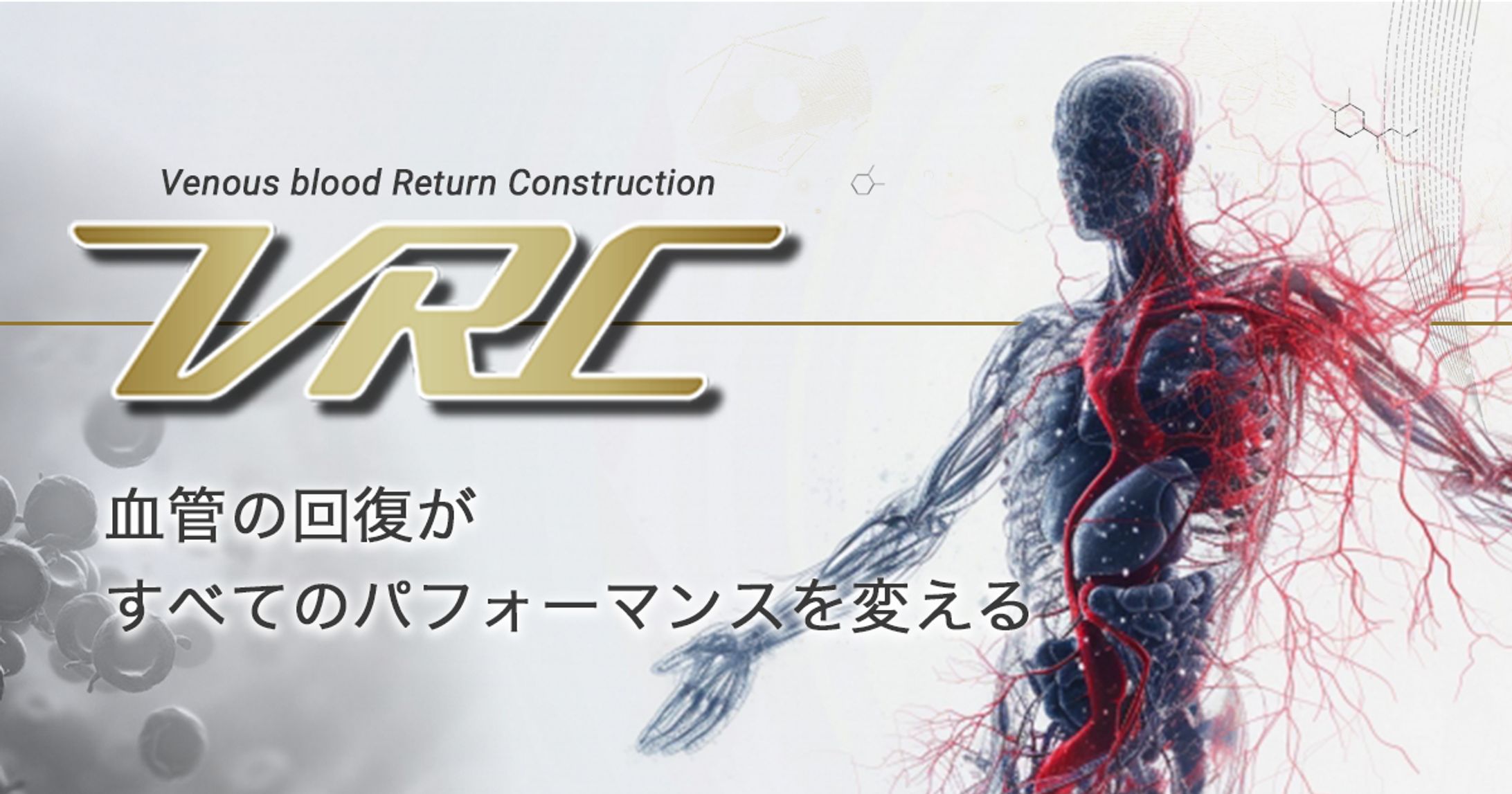 協会公式サイト｜健康機器紹介（BtoC）-1