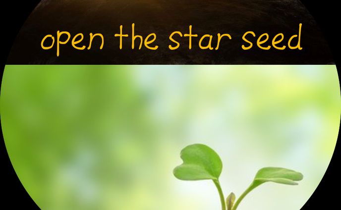 スクリーンショット 2019 03 05 16.42.15のコピー