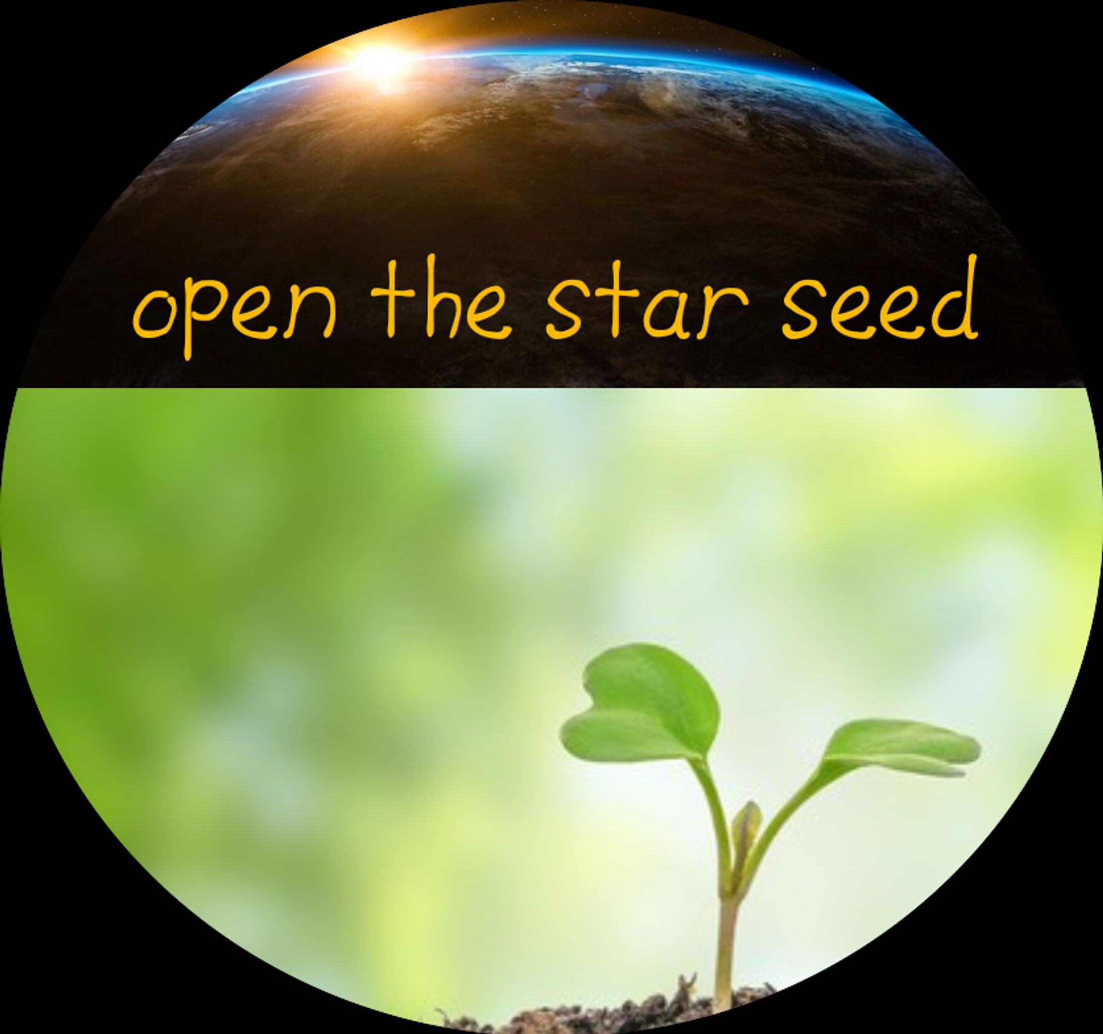 スクリーンショット 2019 03 05 16.42.15のコピー-1