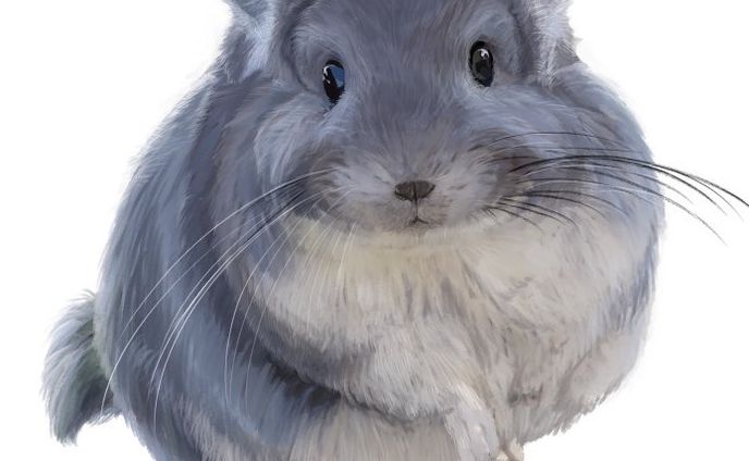 動物系、chibi