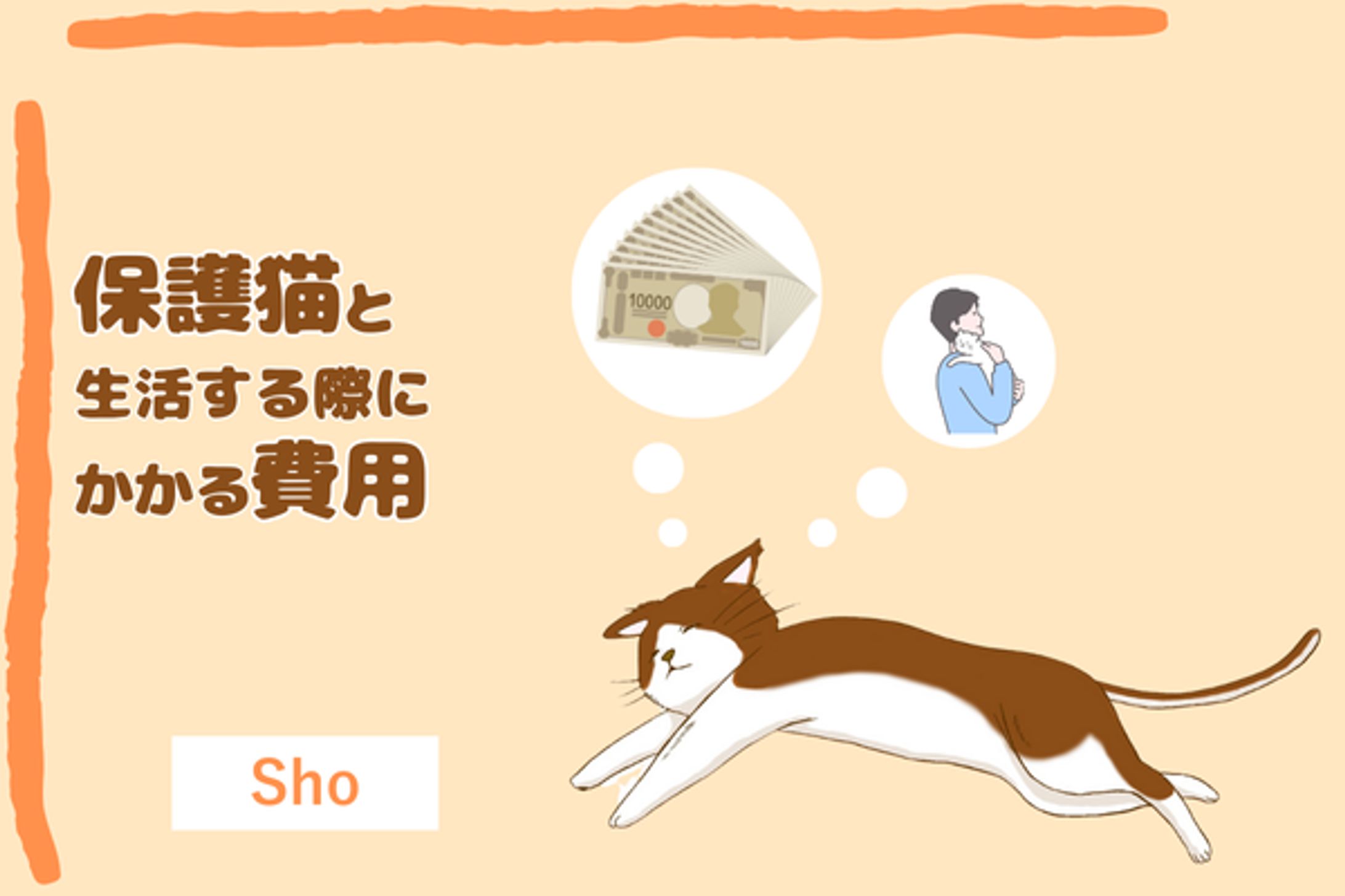 保護猫と生活する際にかかる費用-1