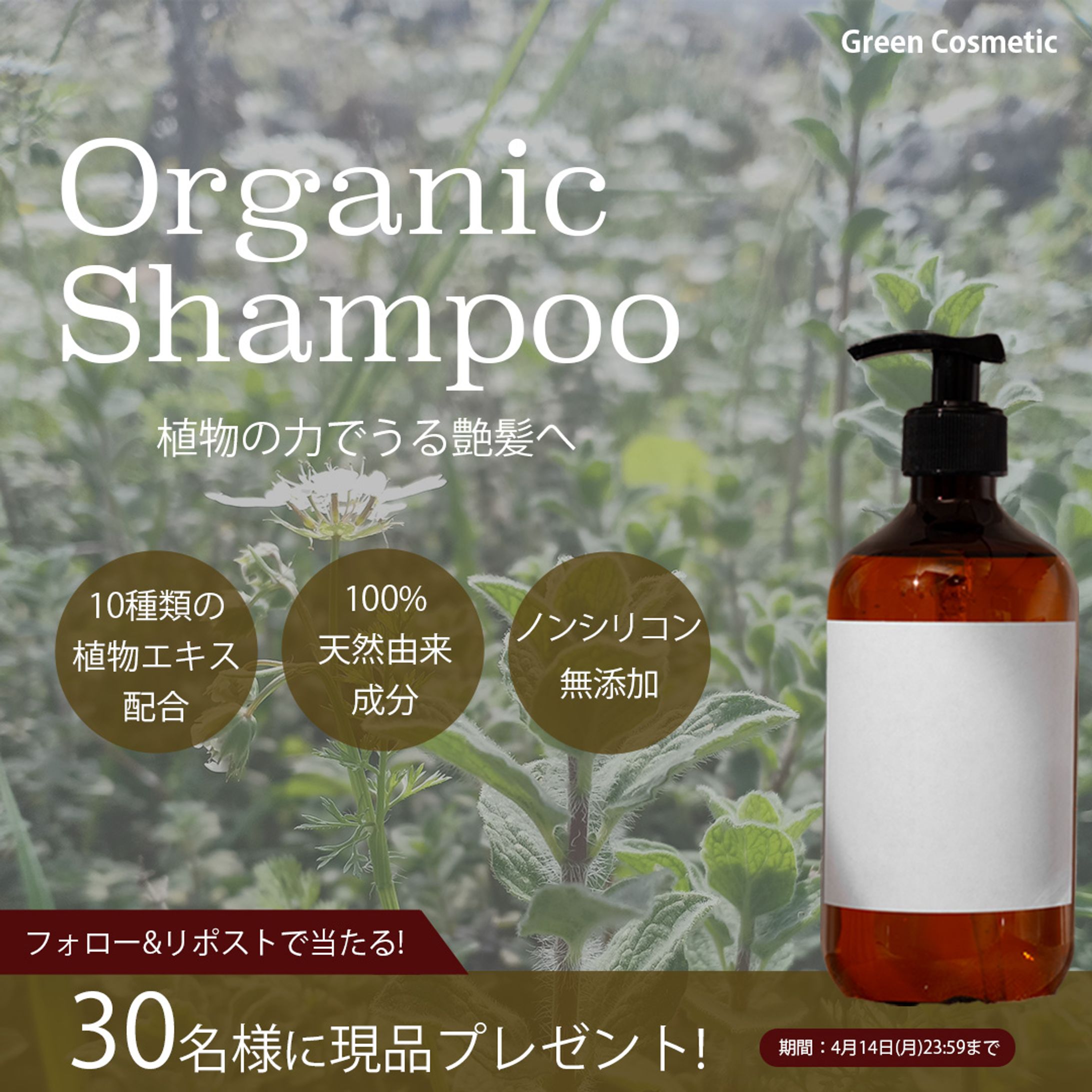 オーガニックシャンプーバナー-1