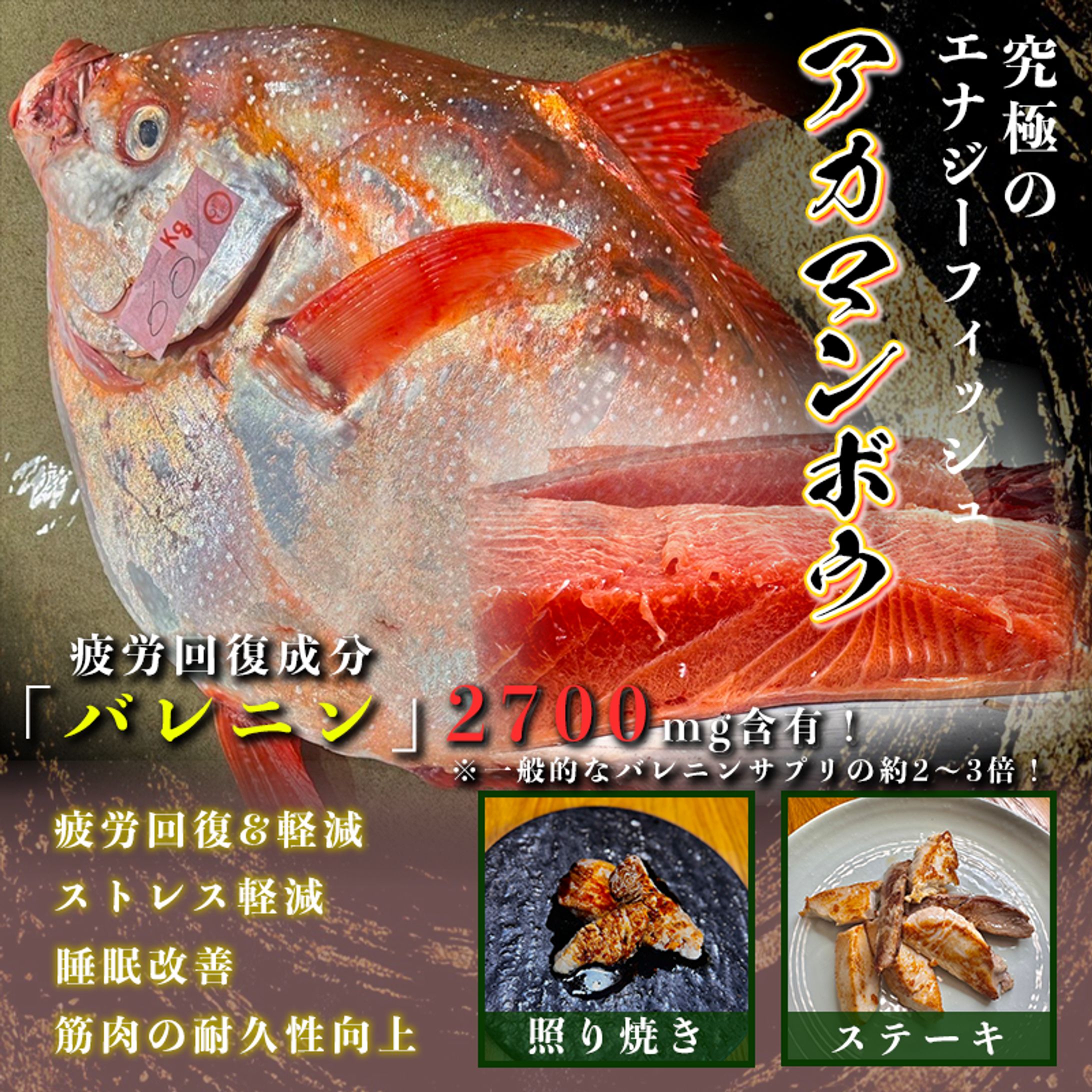 【素潜り漁師マサル様】バナー広告-1