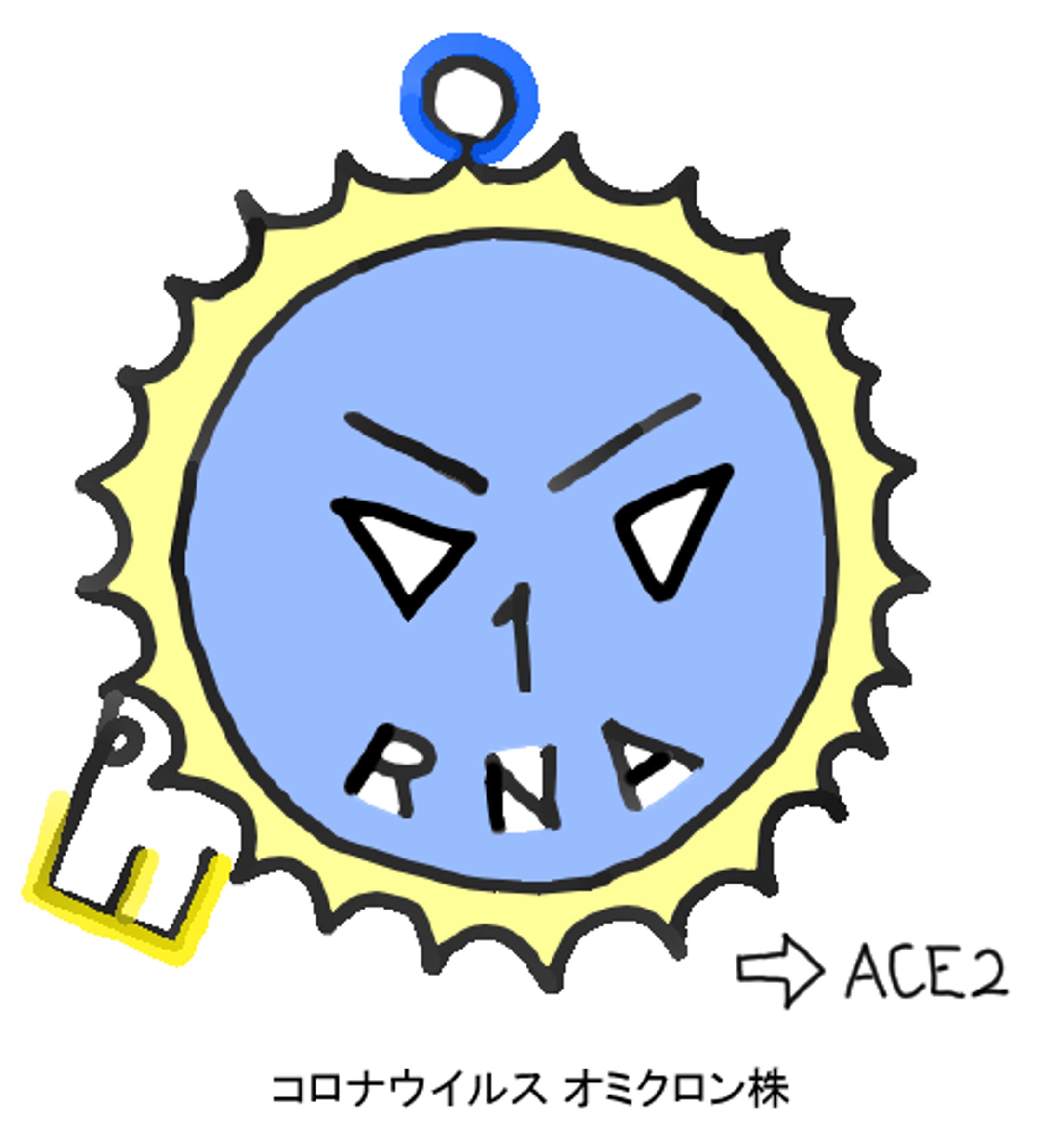 コロナウイルス-1