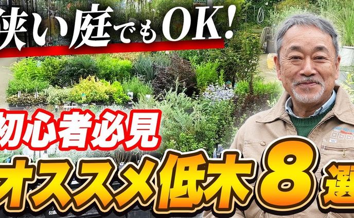 サムネイル、ウマ娘
