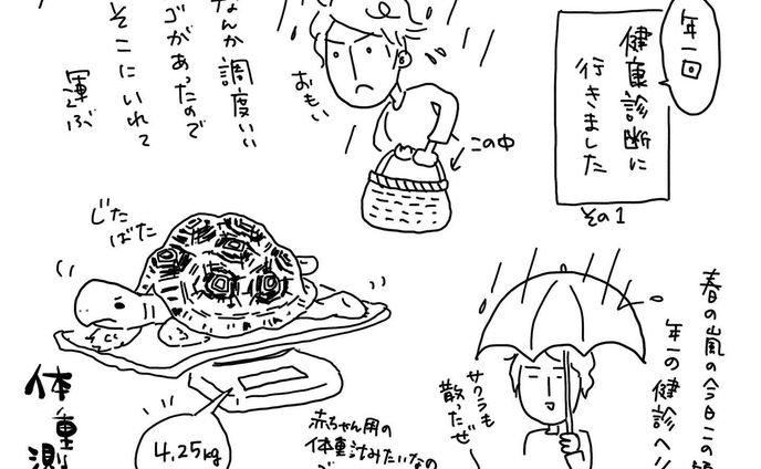 1年前は1.5キロ　からの4.25キロ！　すごい

#リクガメ
#ヒョウモンリクガメ
#健康診断
#年に一回
#かめのいる暮らし
#かめすきさんと繋がりたい 
#イラスト