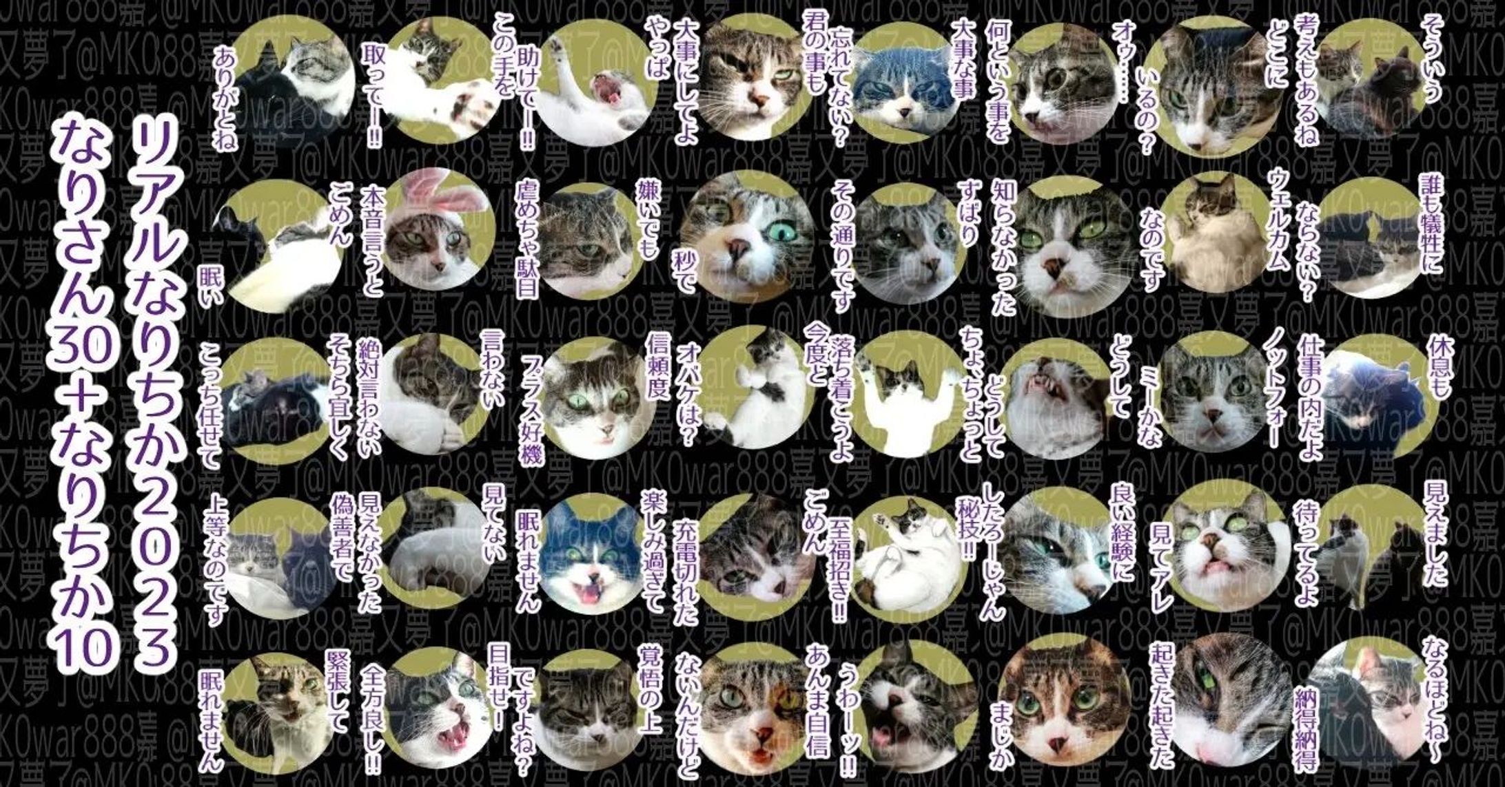 大規模怪異発生日記、更新しました。
https://note.com/mk0war888/n/n1073d8d6921c

466.20230320★：ランの回：開運暦｜投稿しました。
https://note.com/mk0war888/n/n2129d2a948f8
バースセイバー711号室記録帳BBSにて毎晩連載中の #小説 を　#note　マガジン「711号室」にて公開しています。スキ・フォロ・シェアしてくださると、うちのこがランダムでお礼を申しますので是非♡

#ごりごりごりっと芯減らし訓練  は、らいんスタンプ2023、計80個完成させました。#一次創作  #digitalillustration #originalcharacter　#ARTISUL  #clipstudiopaintpro-1