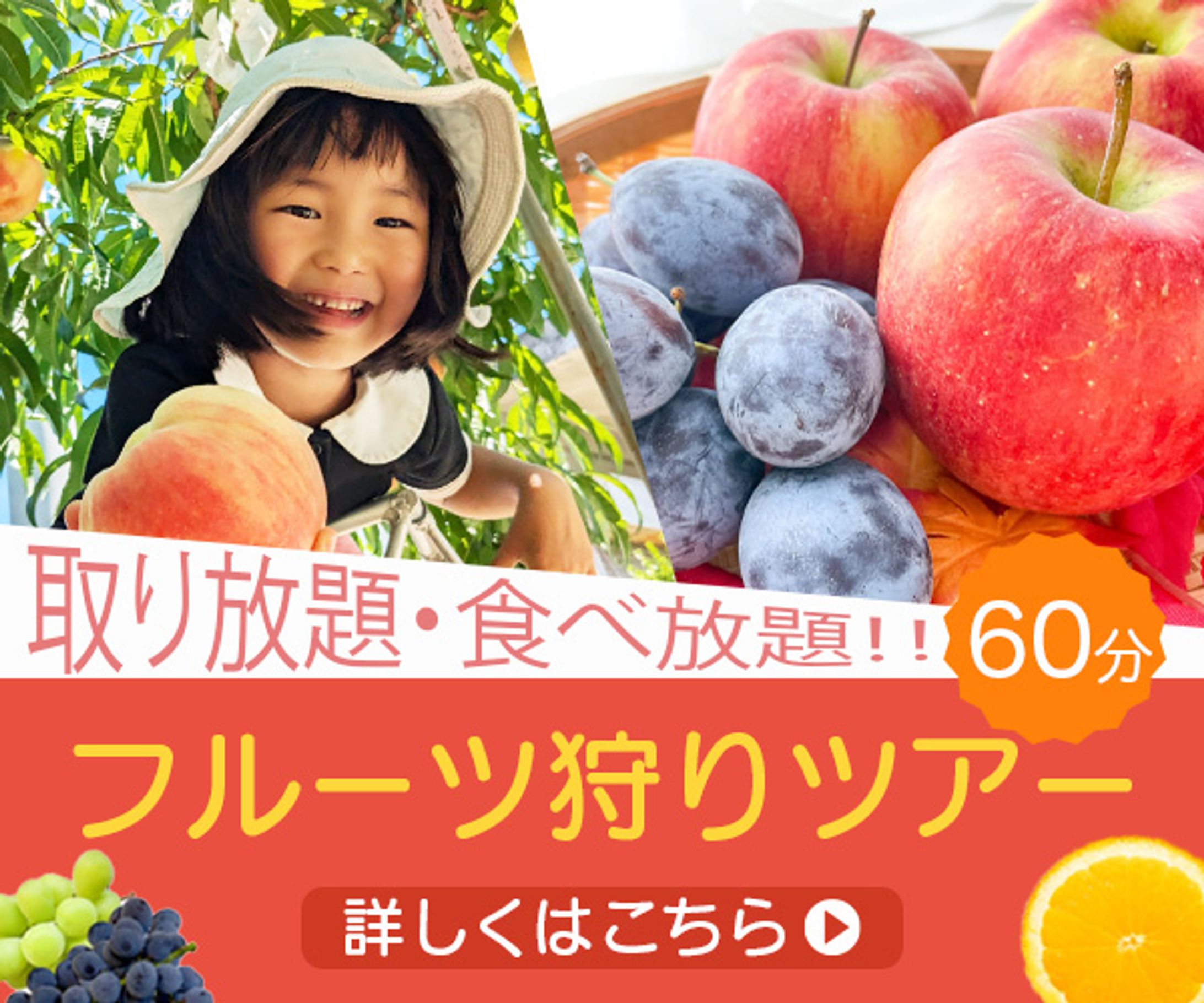 フルーツ狩りツアー-1