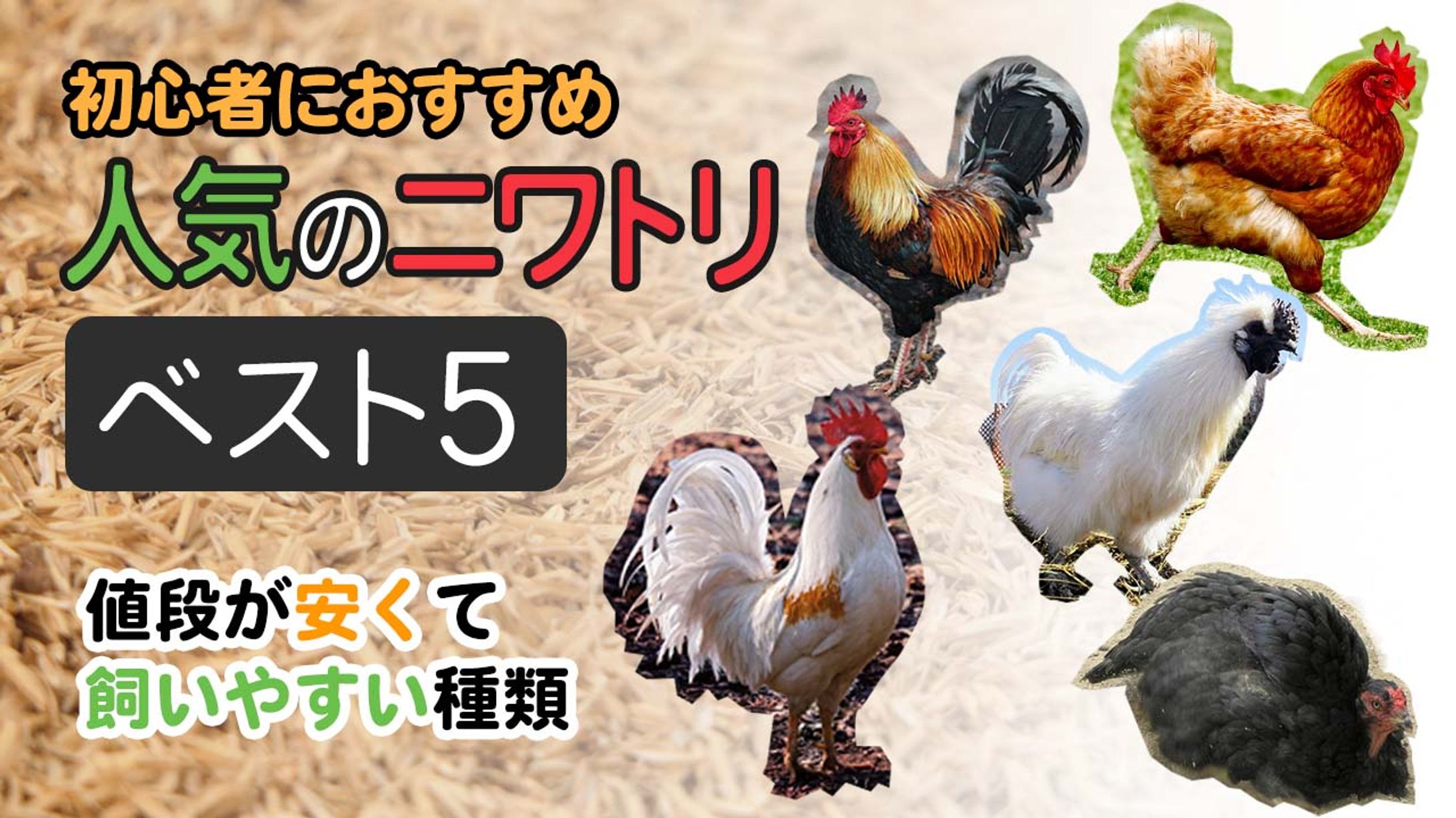 サムネイル（ペット①）-1