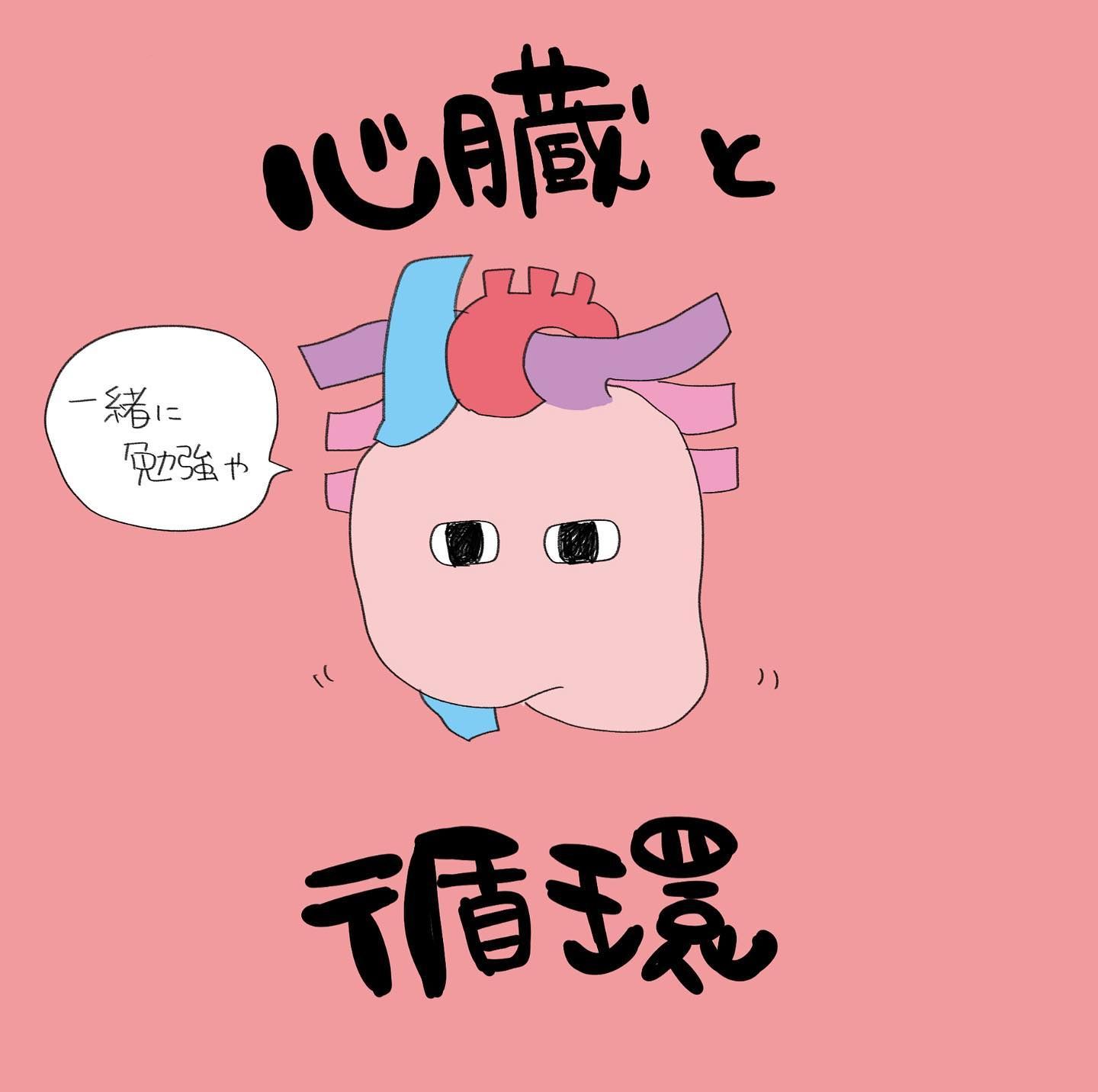 心臓と循環についてのまとめノート。イラストちょこちょこ