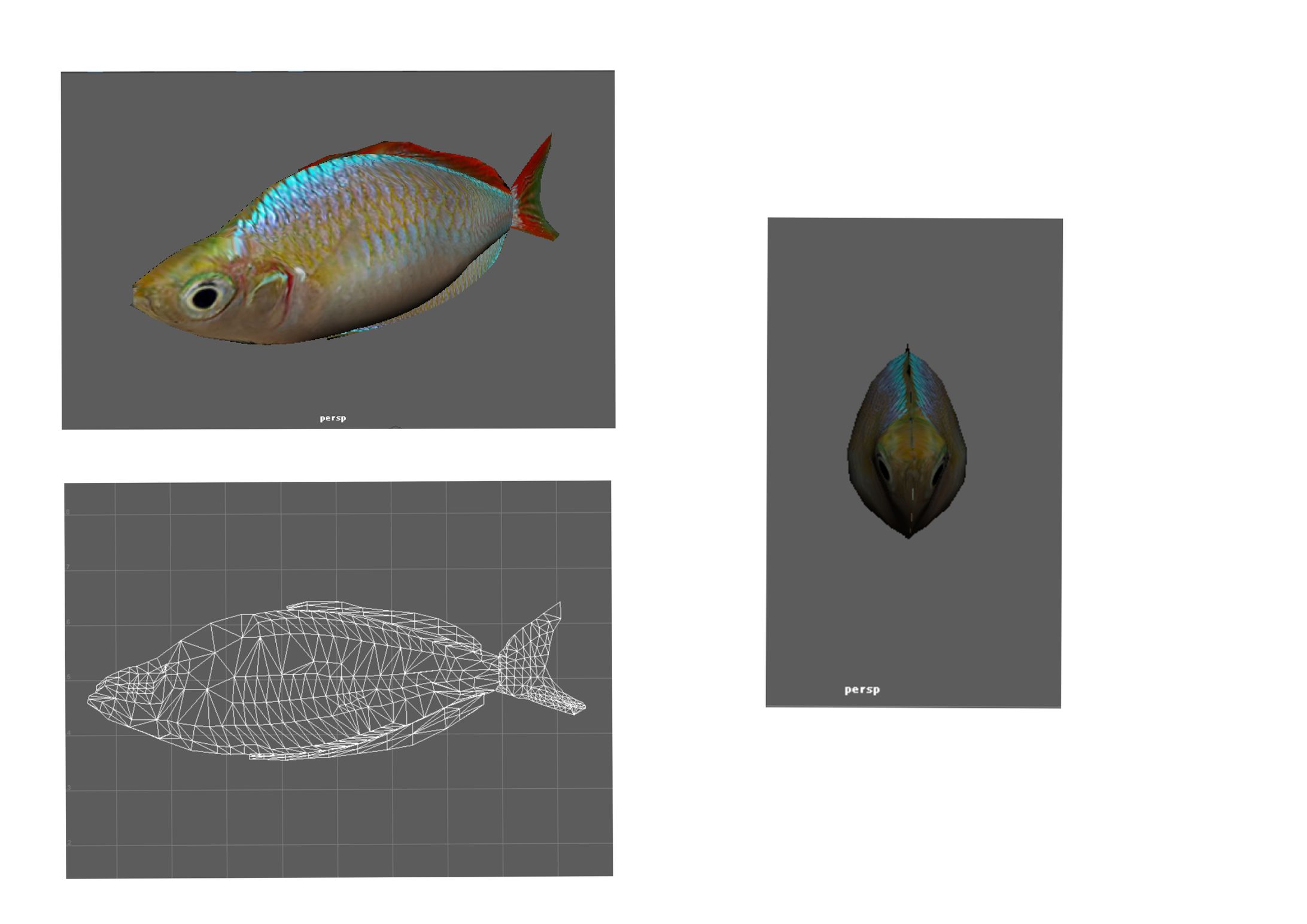 魚CG（過去作品）-1