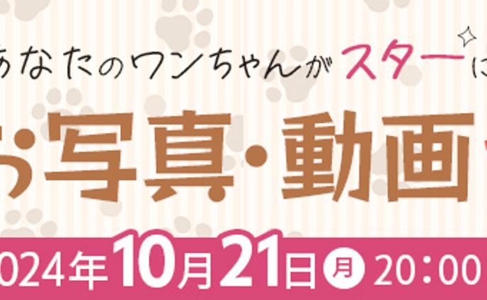 ペット関連イベントバナー