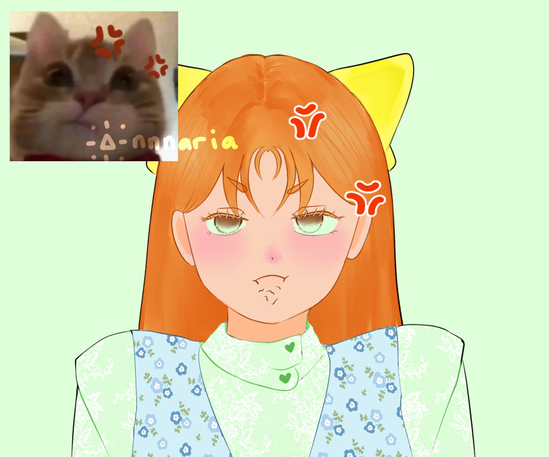 Character design based on cat meme-1