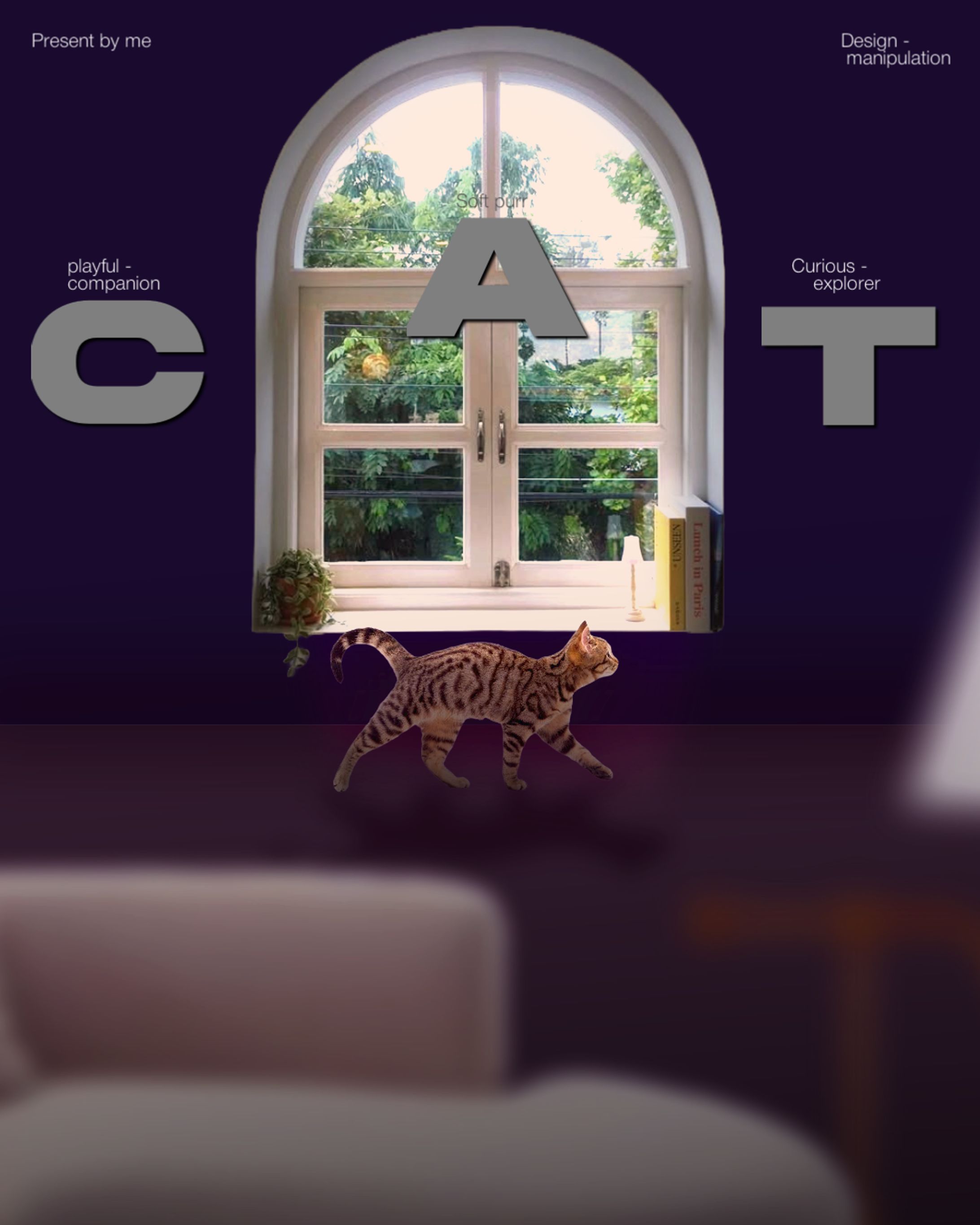 Manipulation design-1