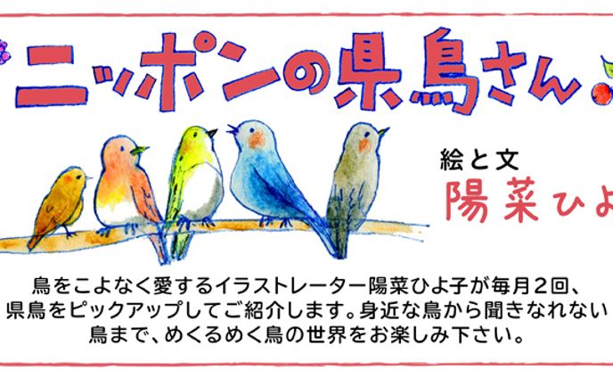 2013年8月～11月：【連載】Web「ニッポンの県鳥さん」（イラストコラム）（KKベストセラーズ）