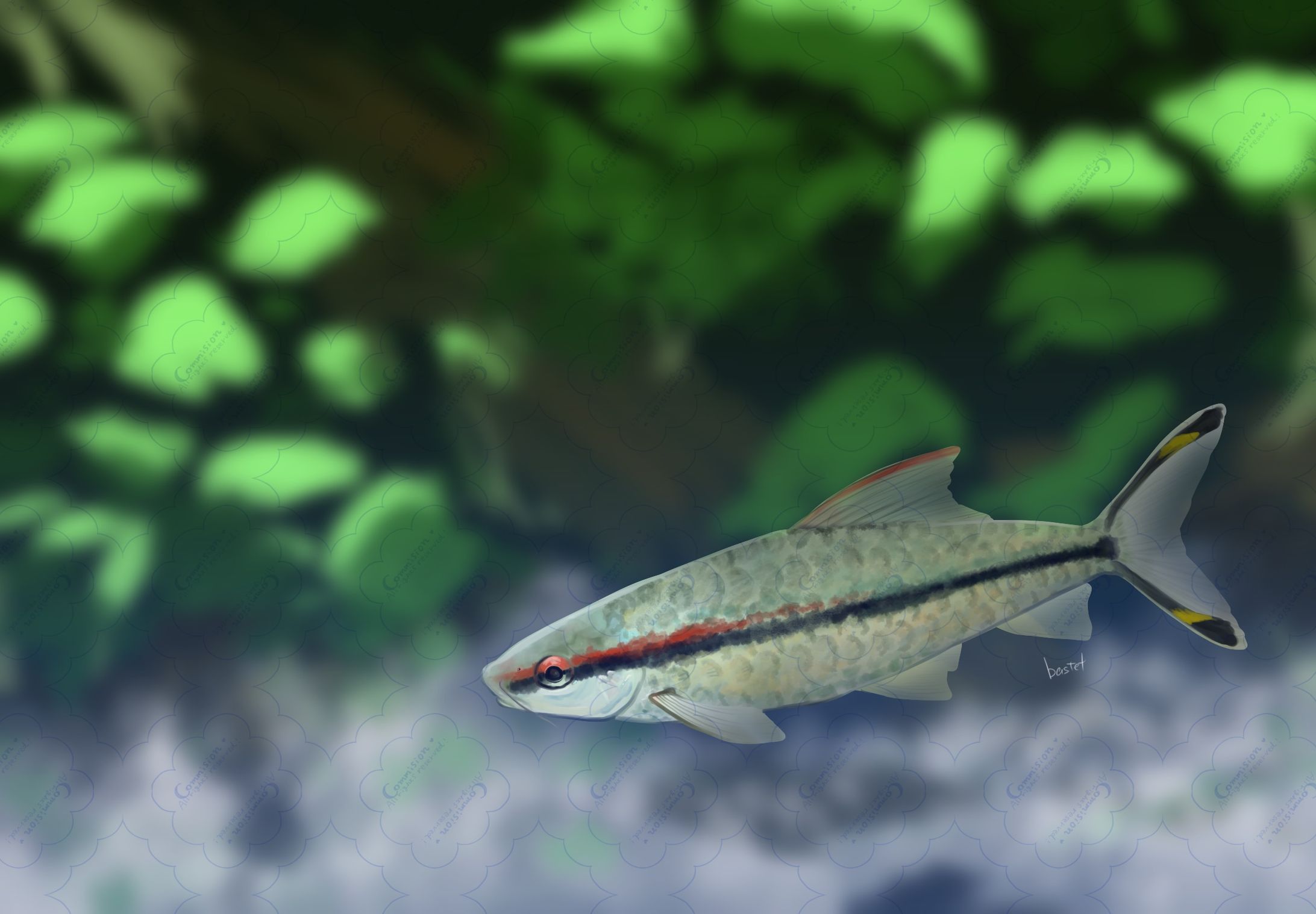 レッドライントーピードバルブ-1