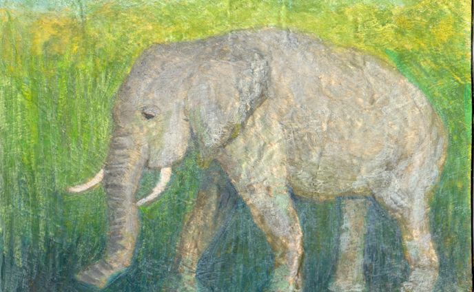 アジアゾウ