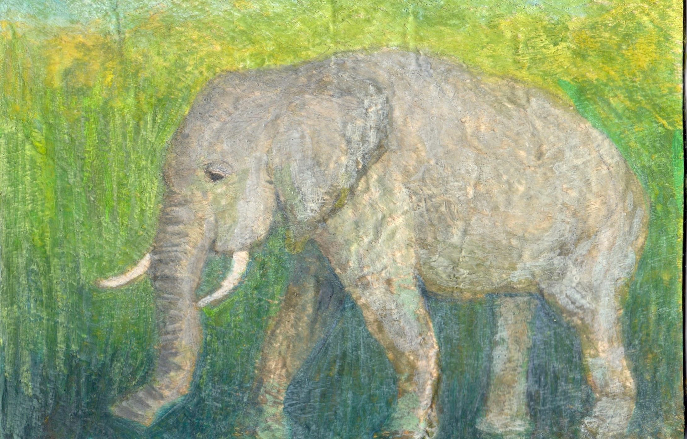 アジアゾウ-1