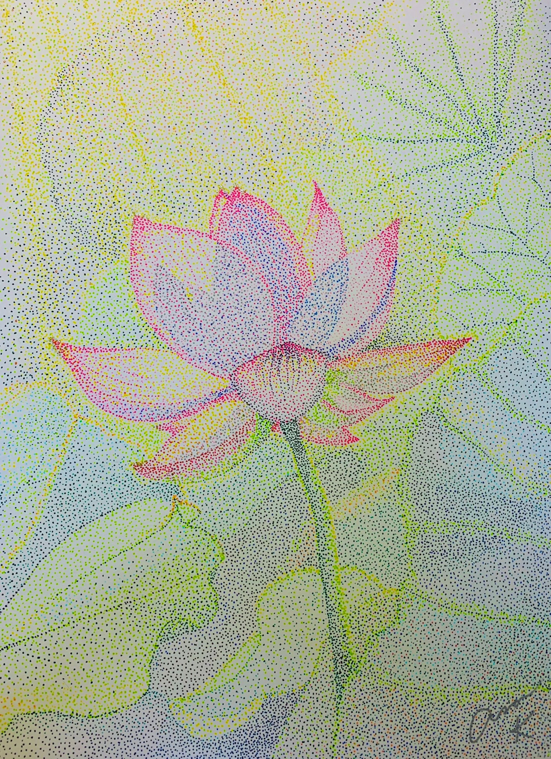 ハスの花〜光を求めて〜-1