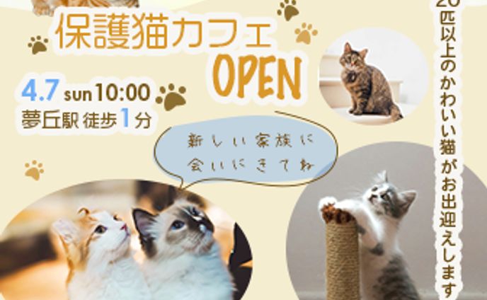 【自主制作】保護猫カフェバナー