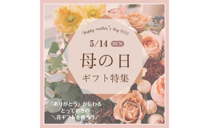 Instagramフィード画像