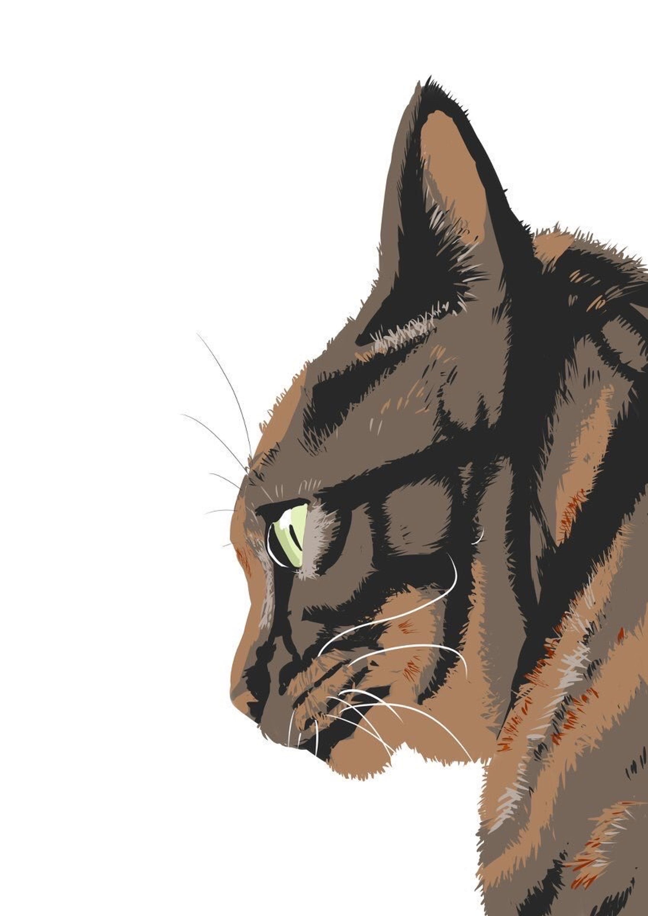 ねこ-1