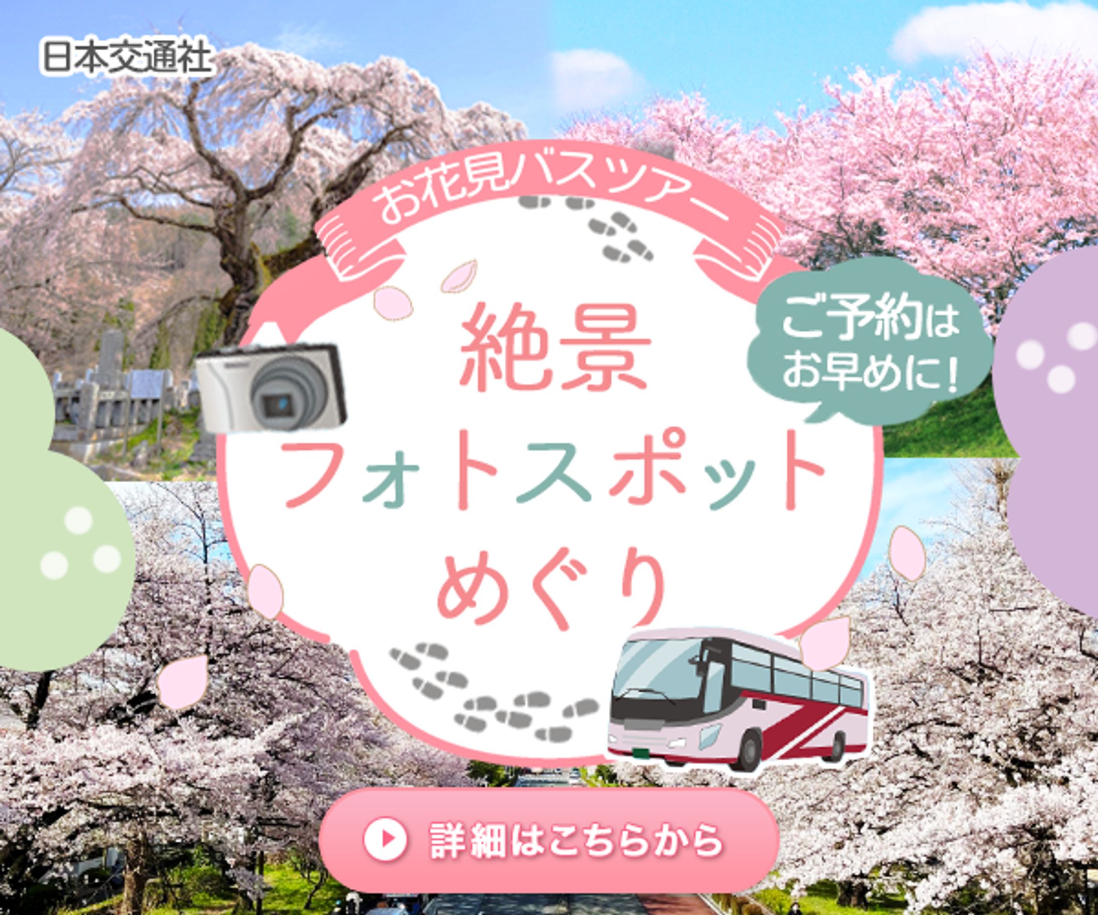お花見バスツアー絶景フォトスポットめぐり-1