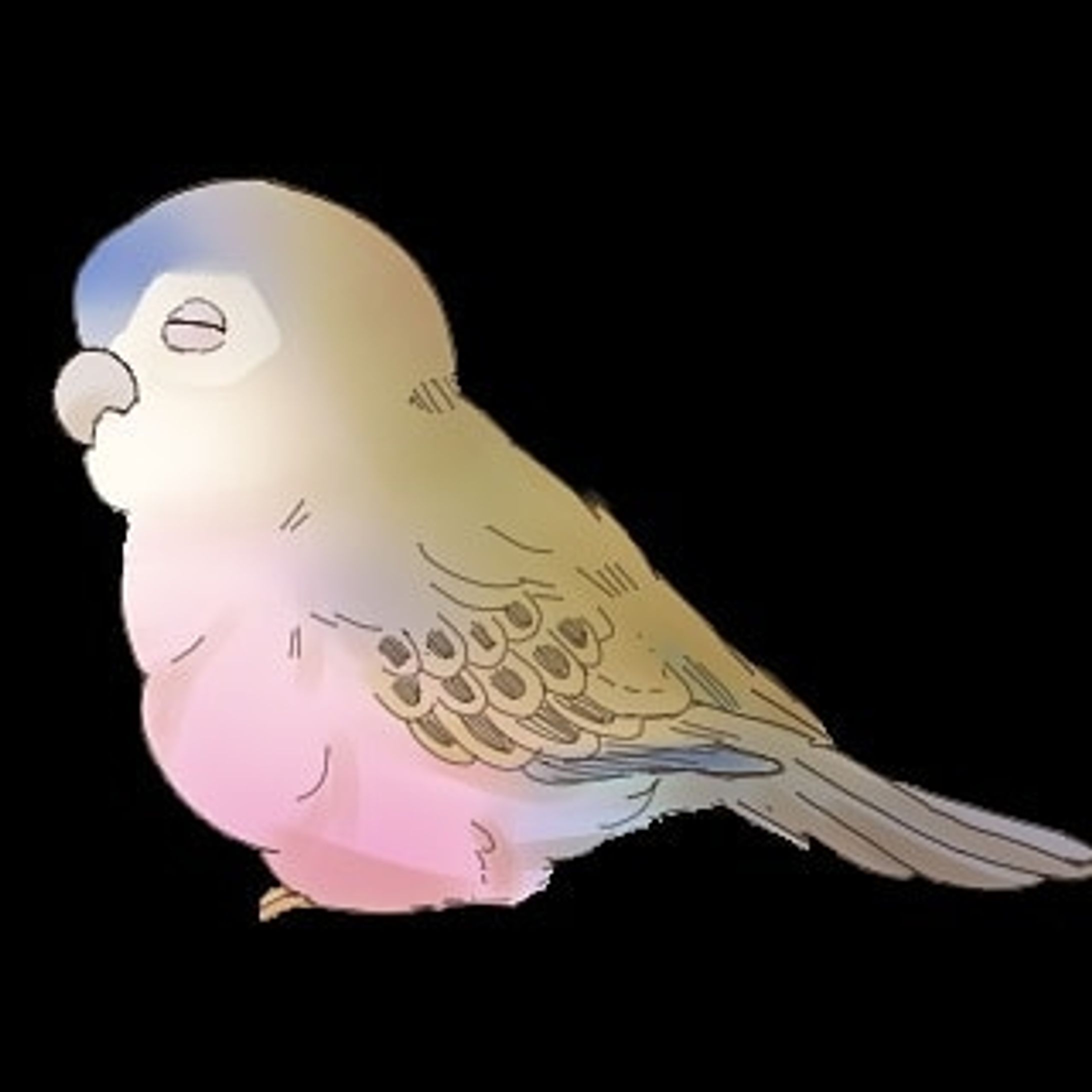 LINEスタンプを制作中です😊
ノーマルは桜餅みたいでおいしそう！

#イラスト
#ilustration
#アキクサインコ 
#アキクサインコノーマル 
#創作 
#創作イラスト-1