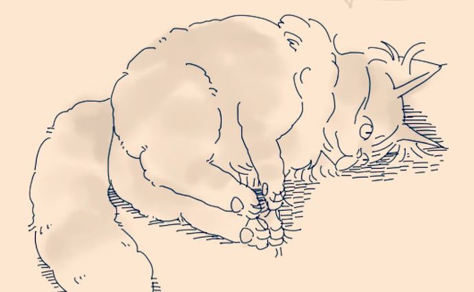 イラストレーター／デザイナー、グラフィックデザイン