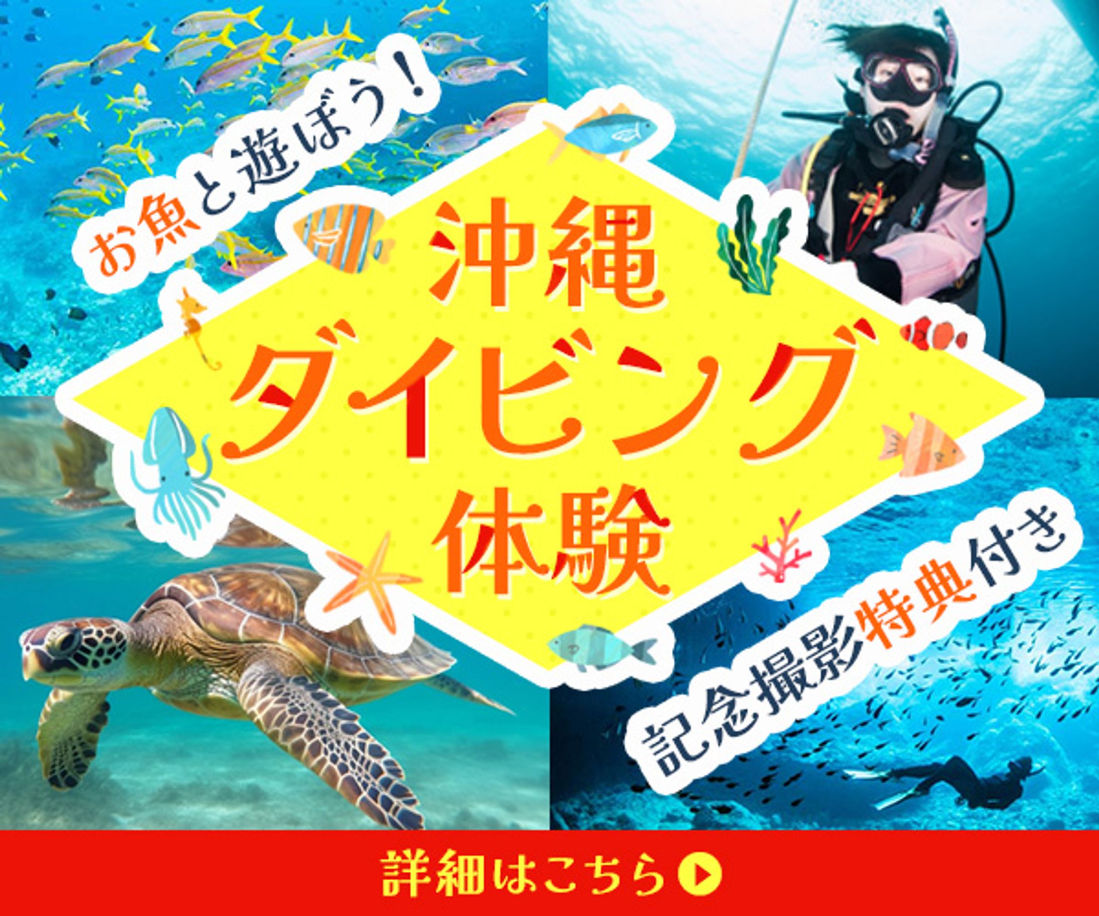 バナー　ダイビング体験-1