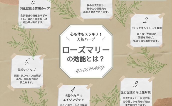 図解(ローズマリー)