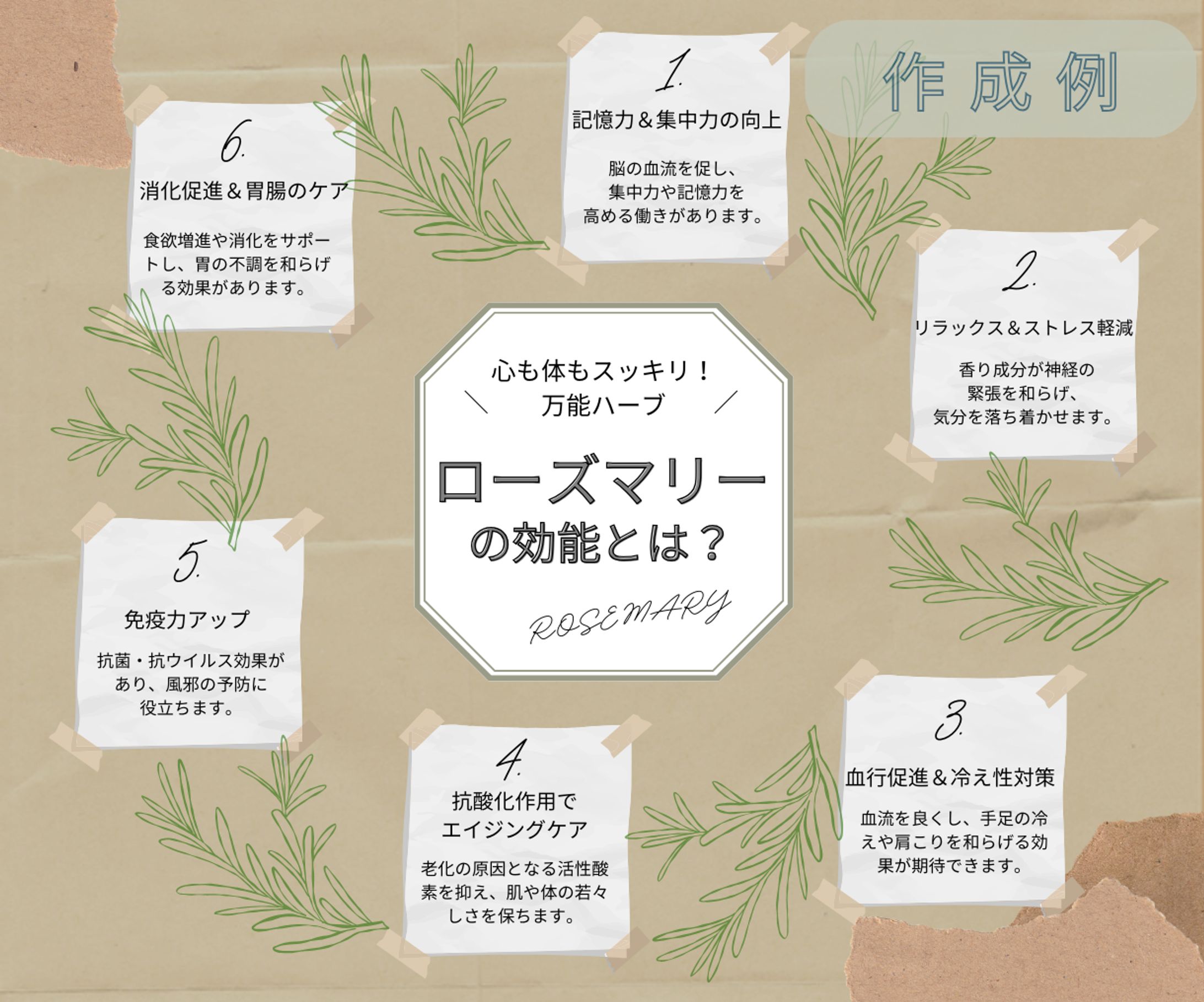 図解(ローズマリー)-1