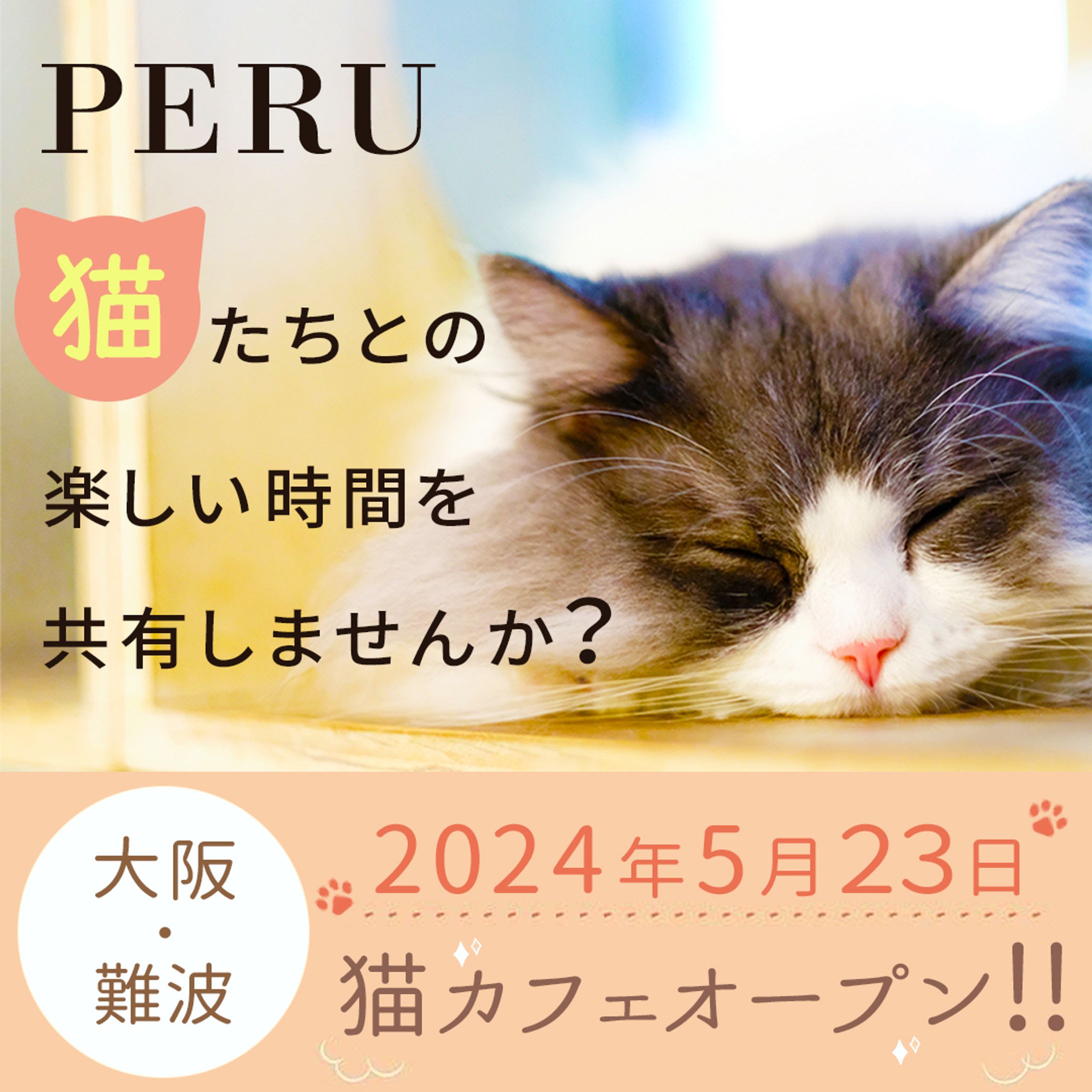 バナー/猫カフェ・カフェ集客用-1